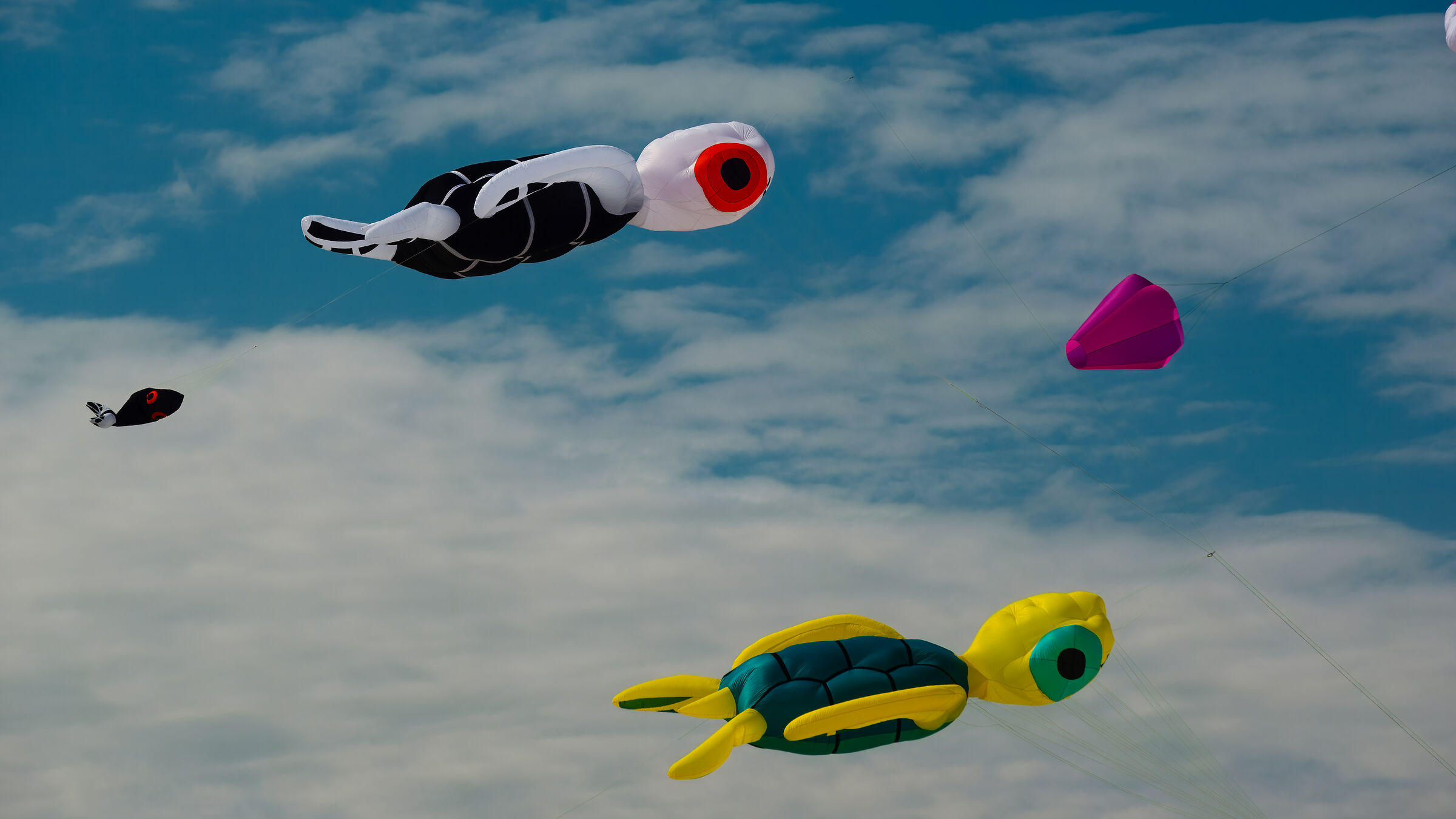 Kites on a danish beach III