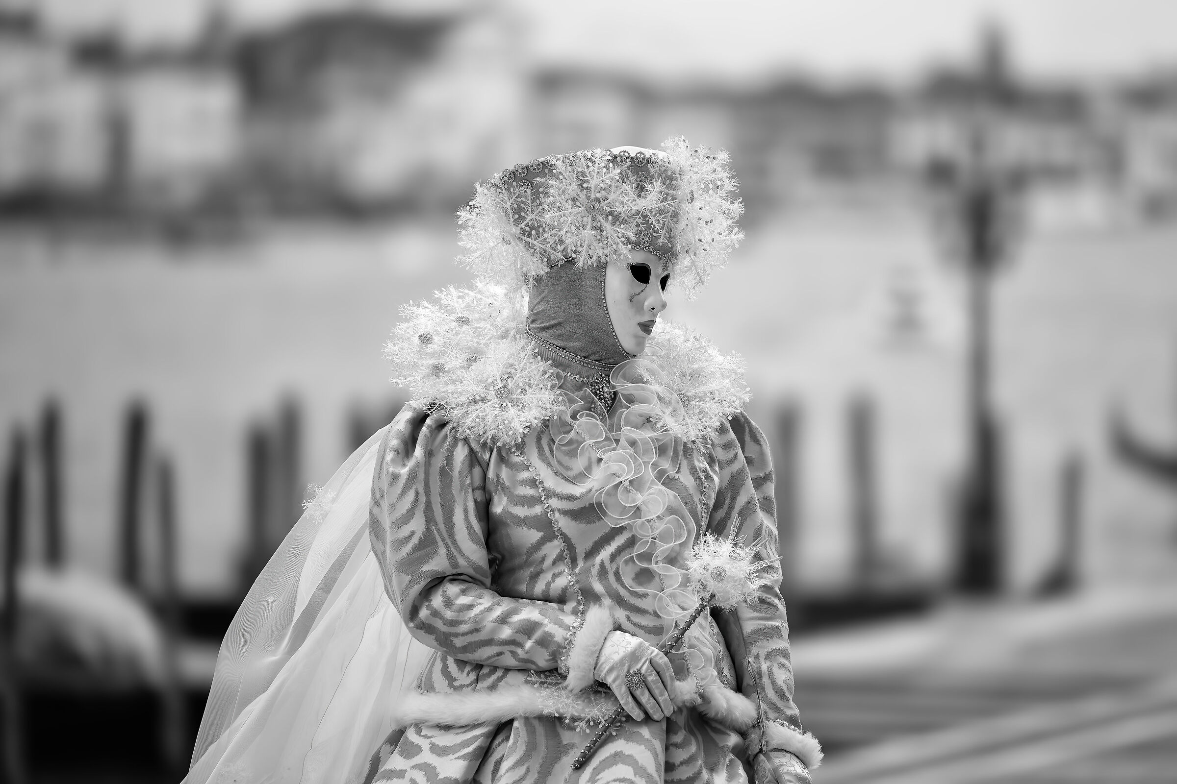 Venetian Carnival