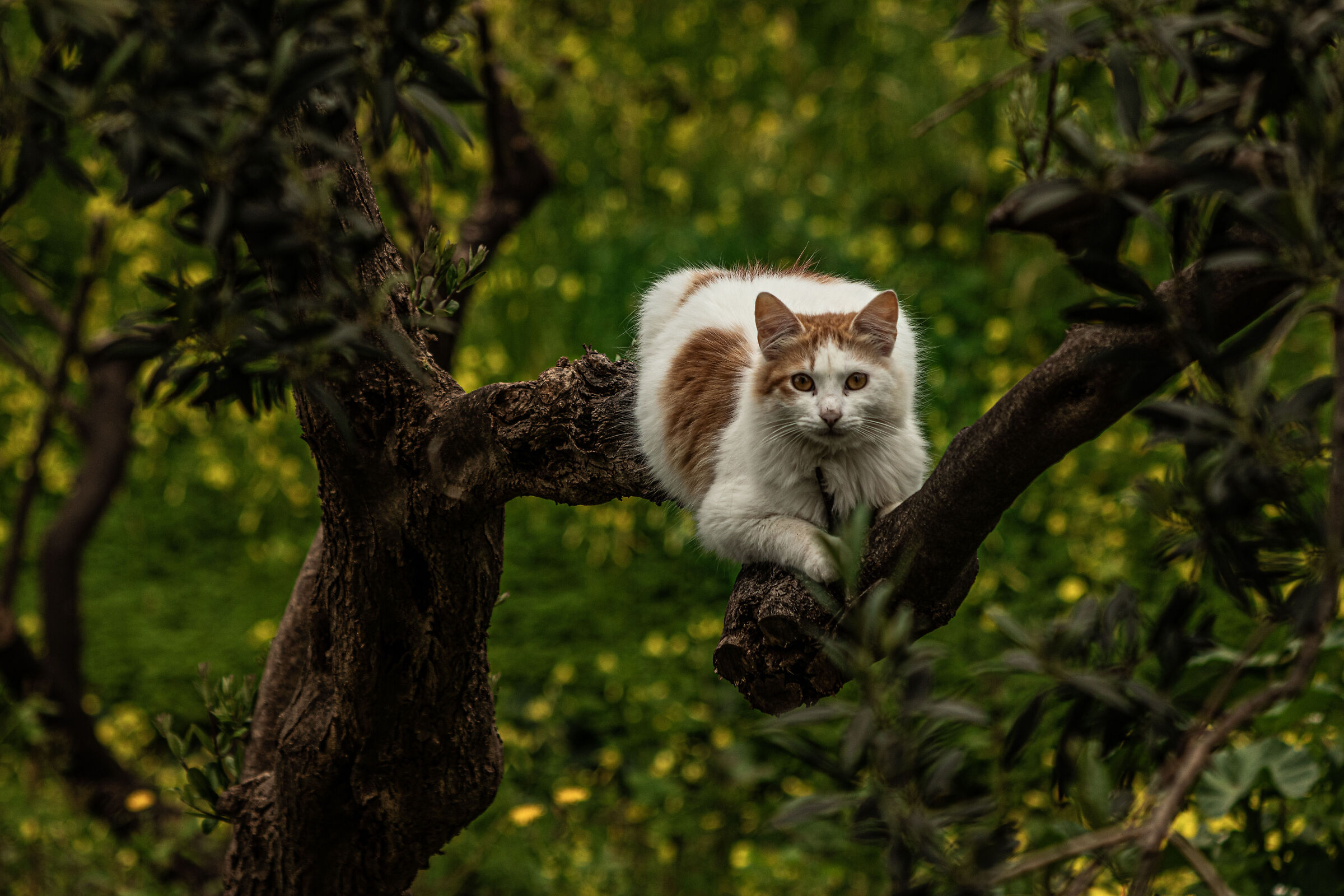 What are you looking at?