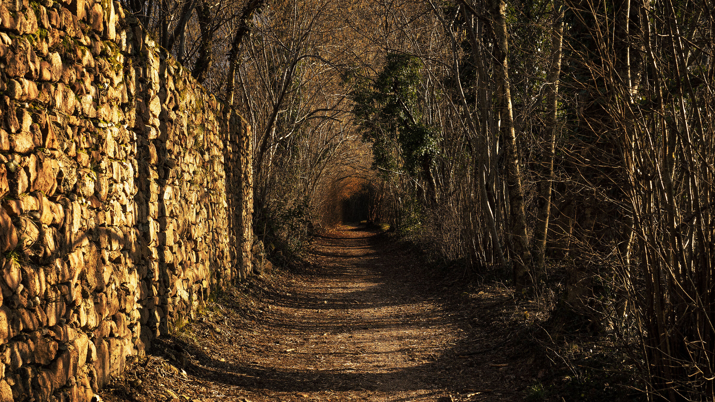 Towards what