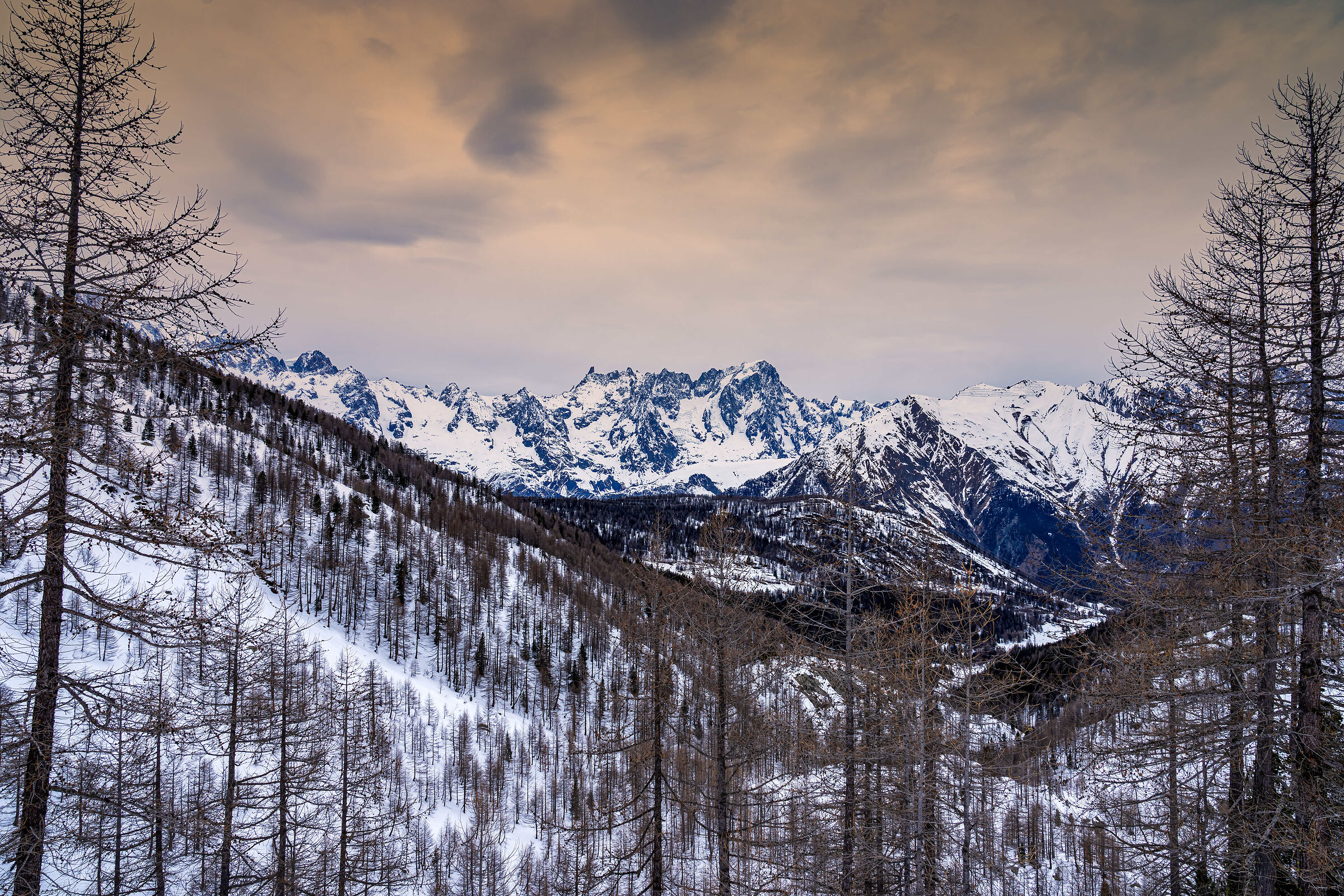 Looking for Rocco Schiavone