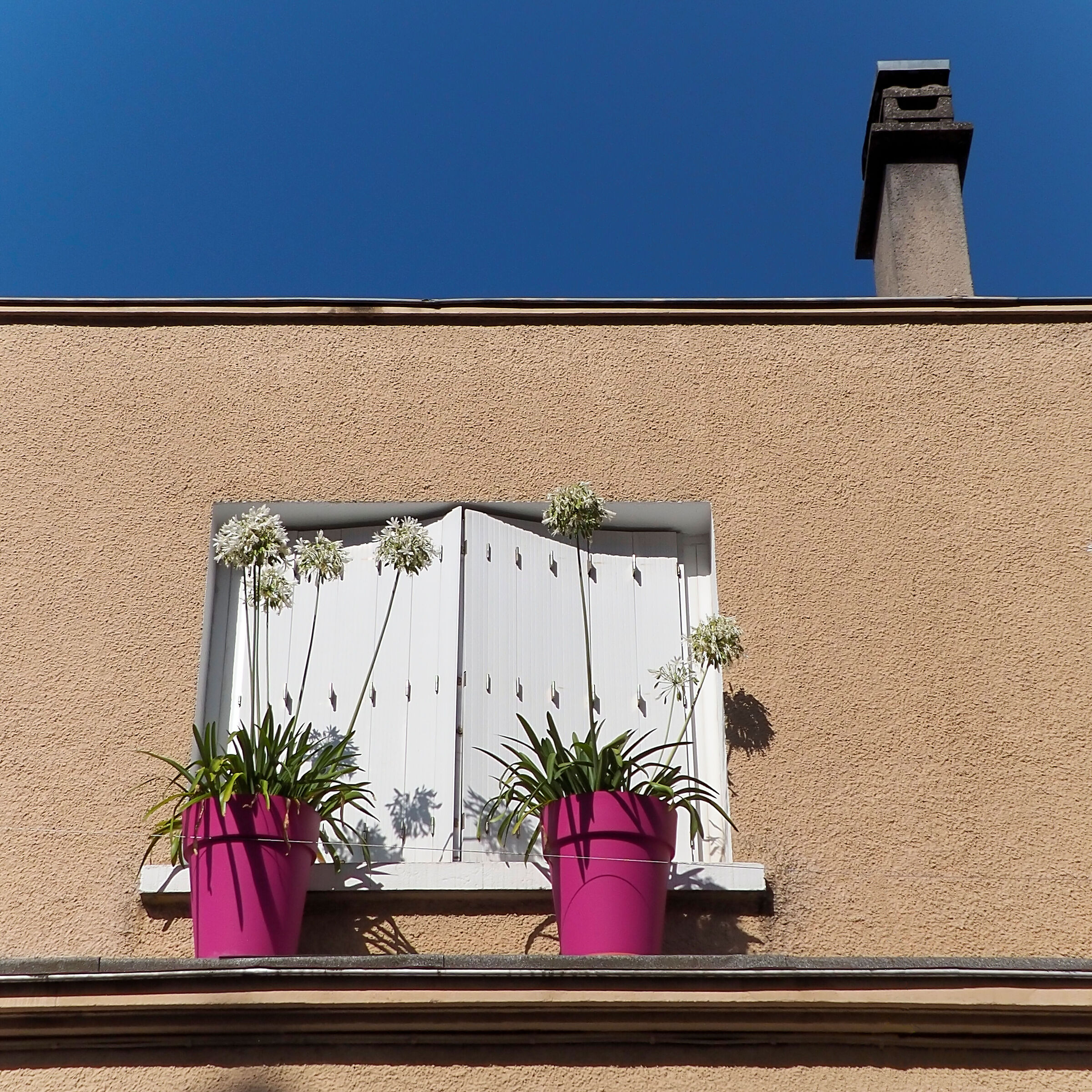 LIMOGES_2024 (_8111124-1)