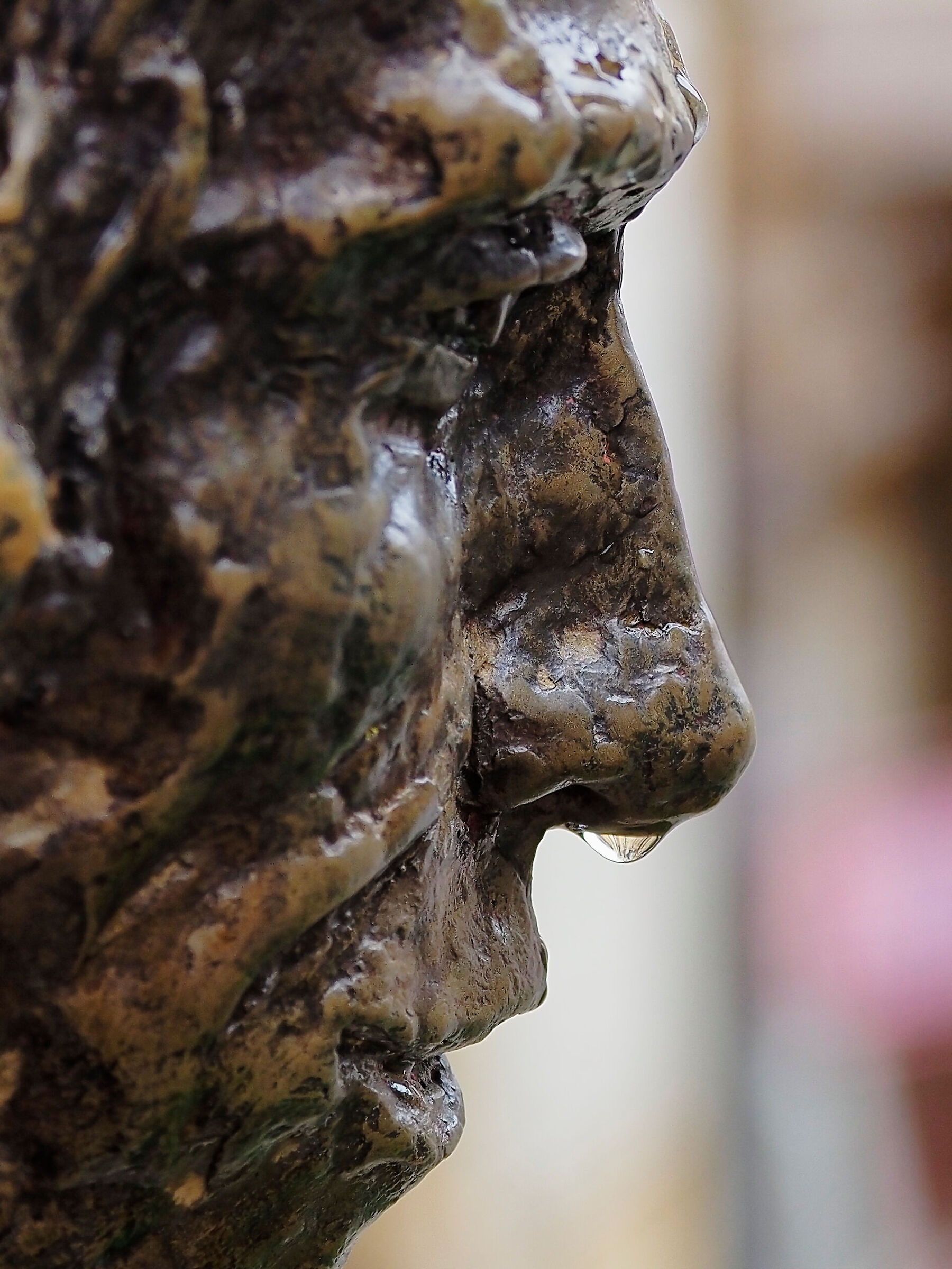 SARLAT_2024 (_8131536-1)