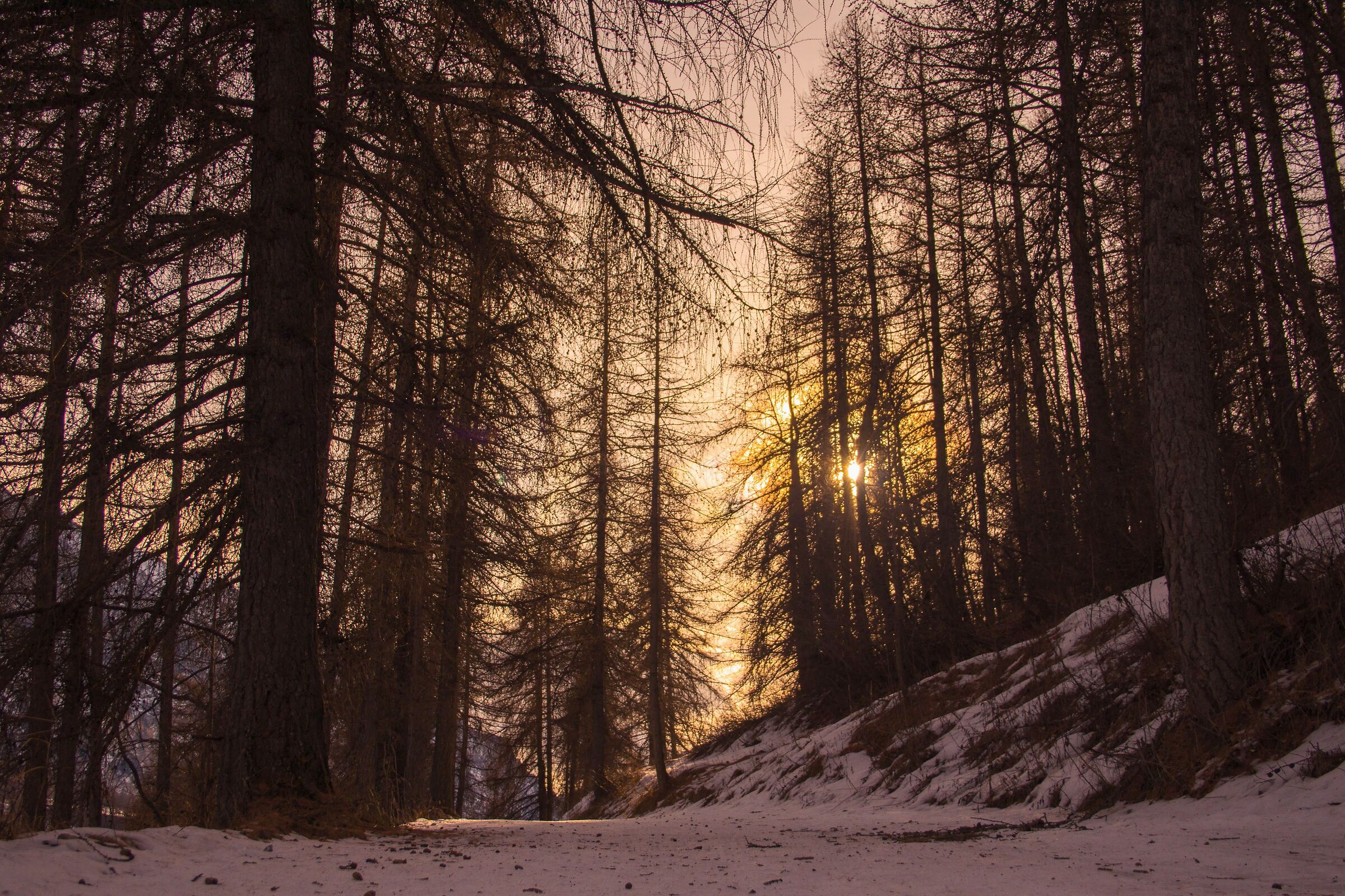 Sunset