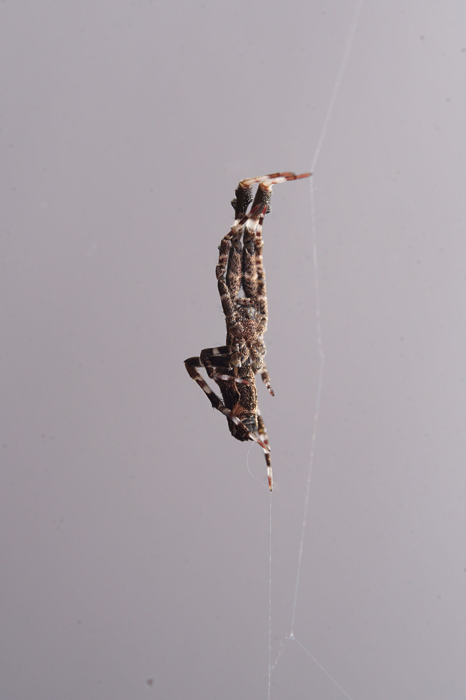 Nel corridoio di casa