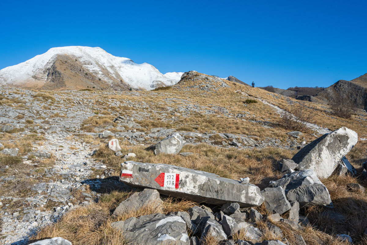 Campocecina -Carrara