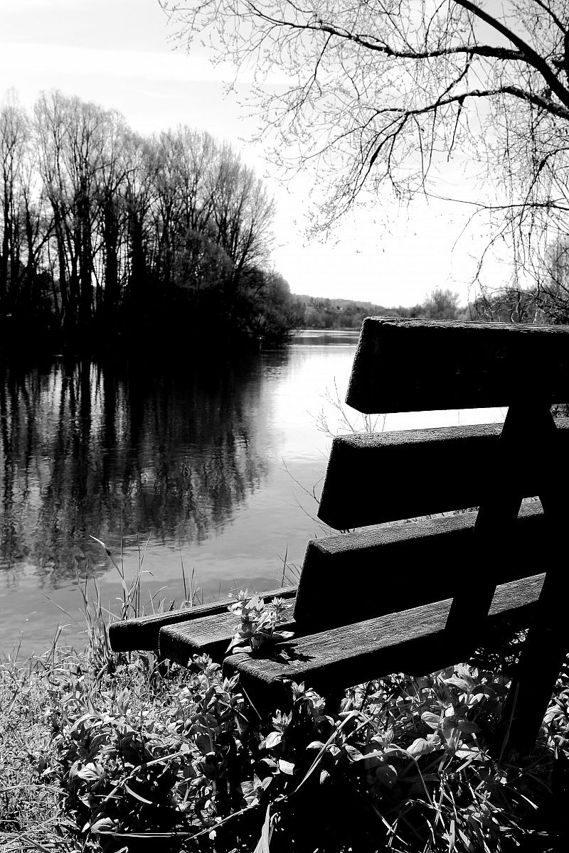 Una vista sul fiume Brivio