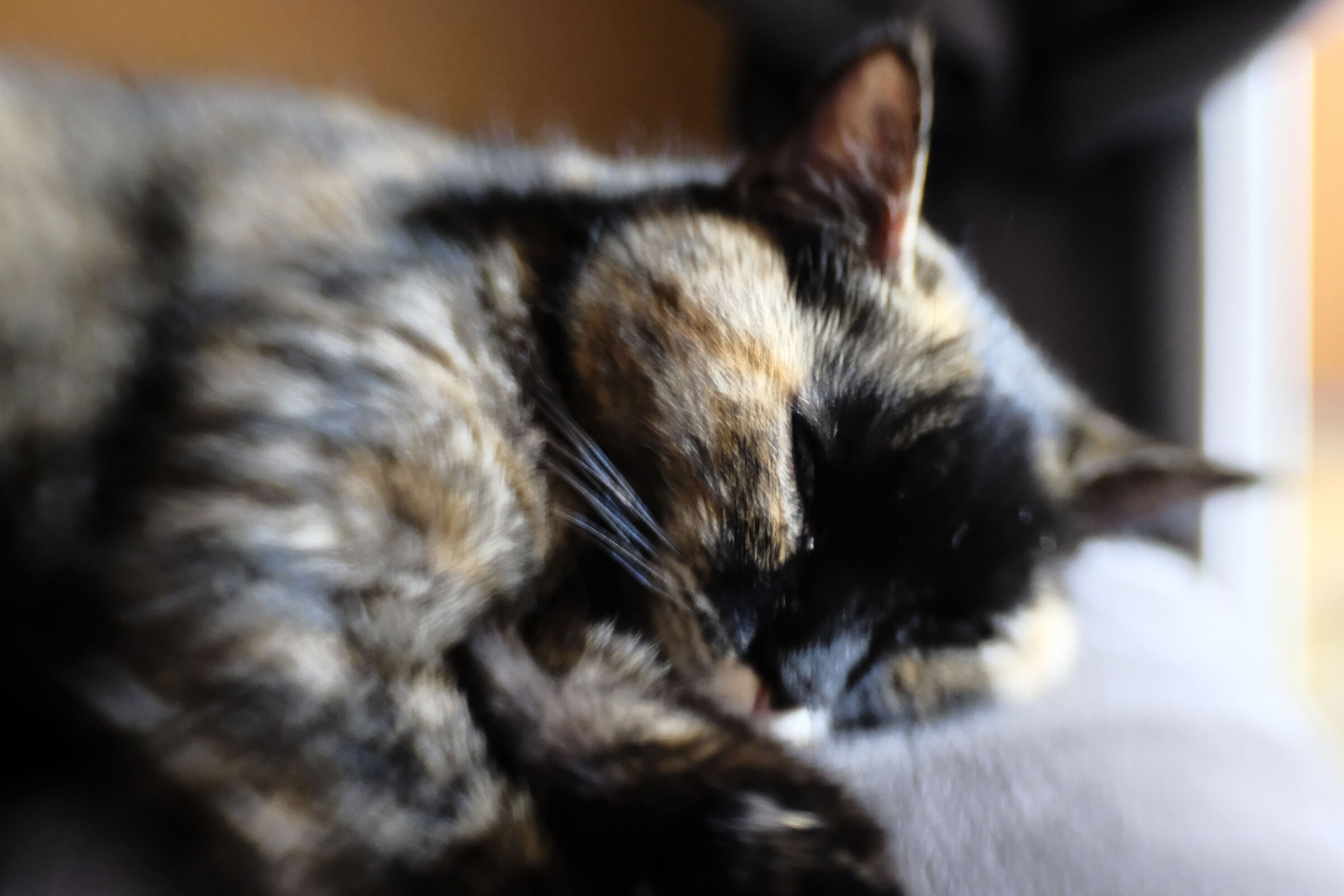 Giocando con la lensbaby!