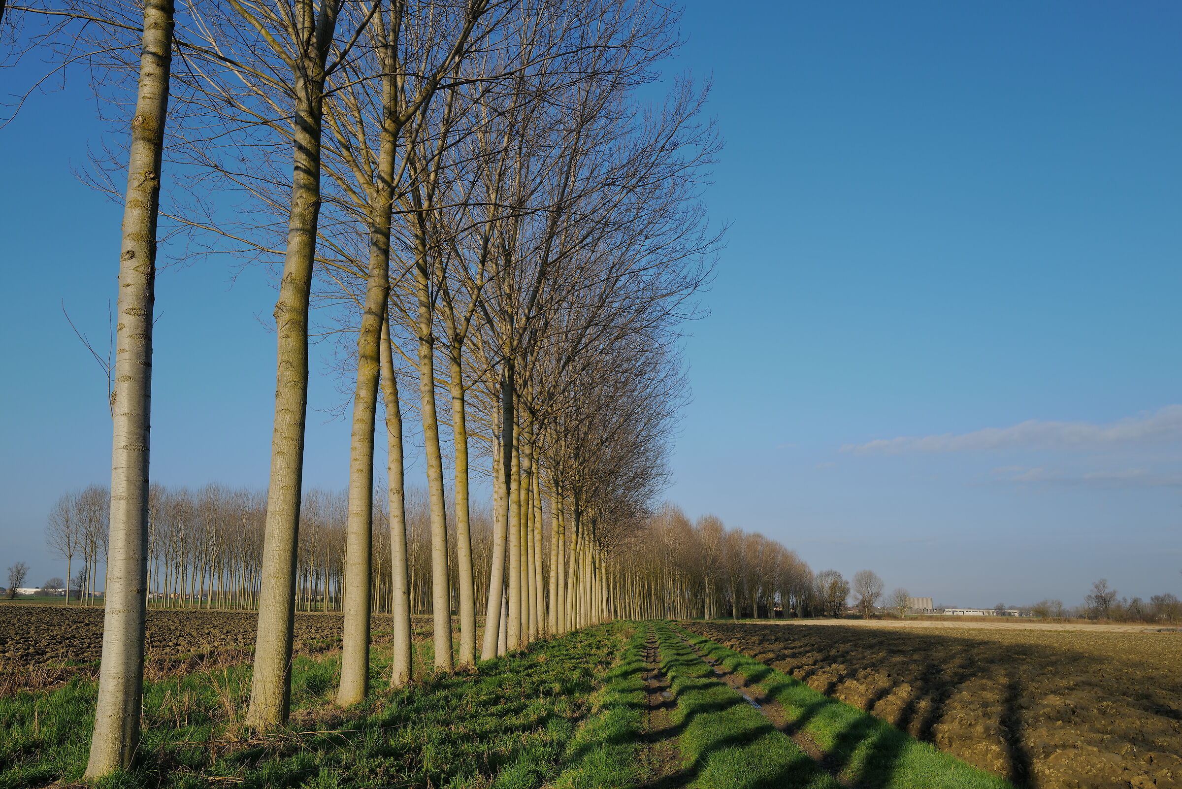 Colori di fine inverno