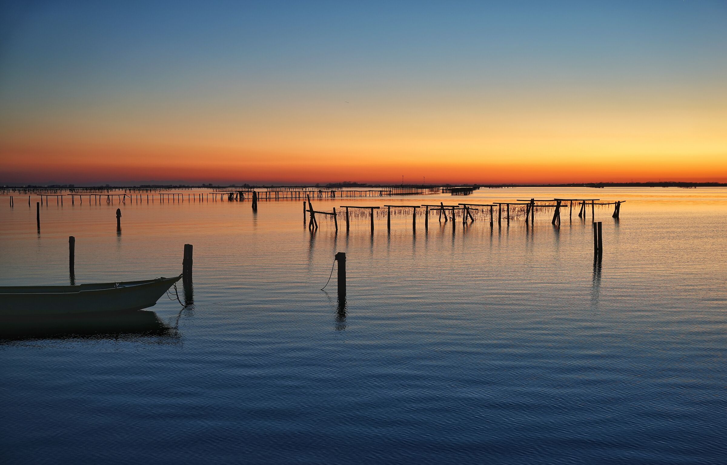 The colors of the sunset.