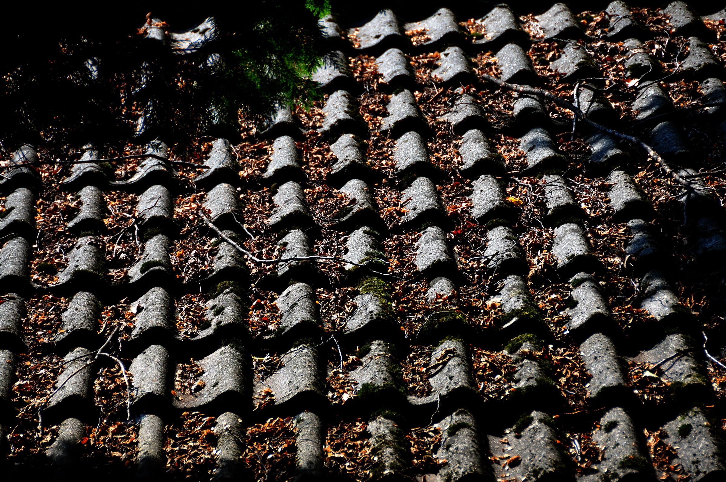 Roof tiles