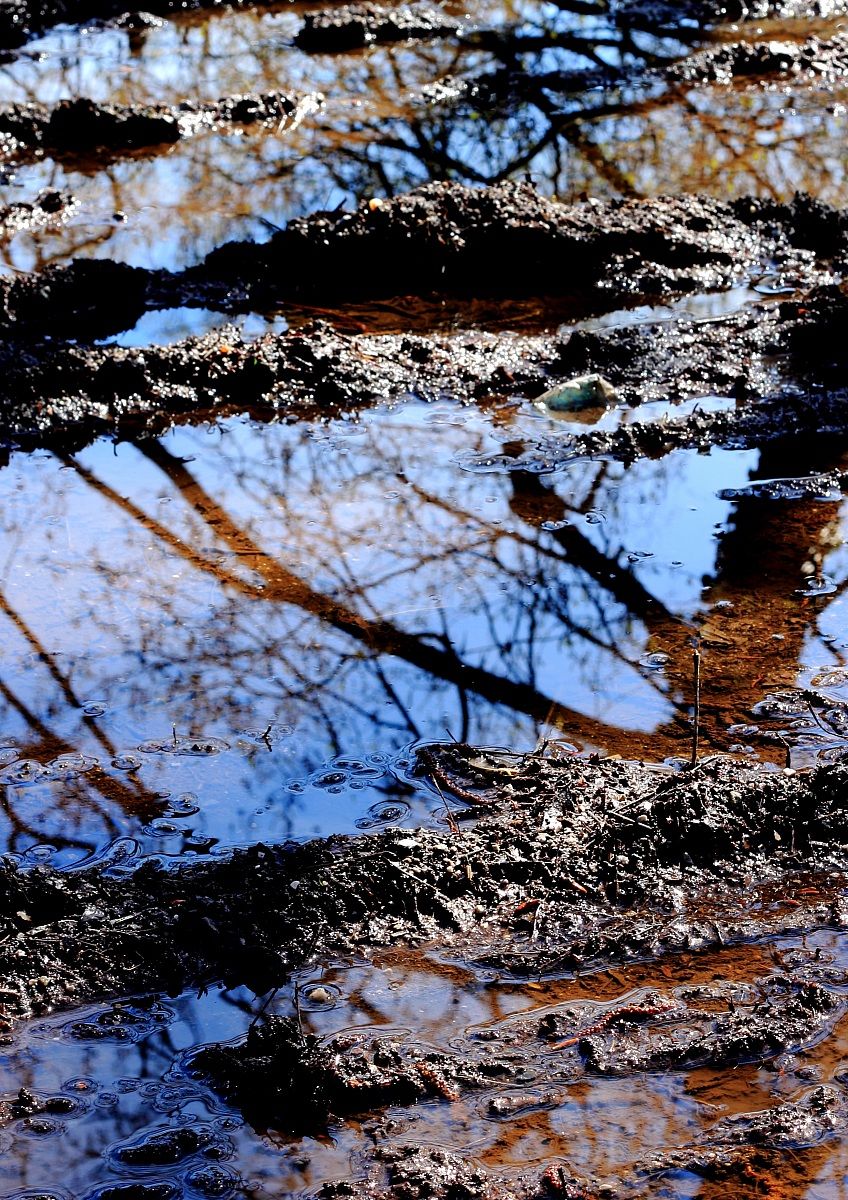 I colori di Brivio in primavera...