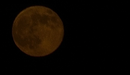 moon appears orange