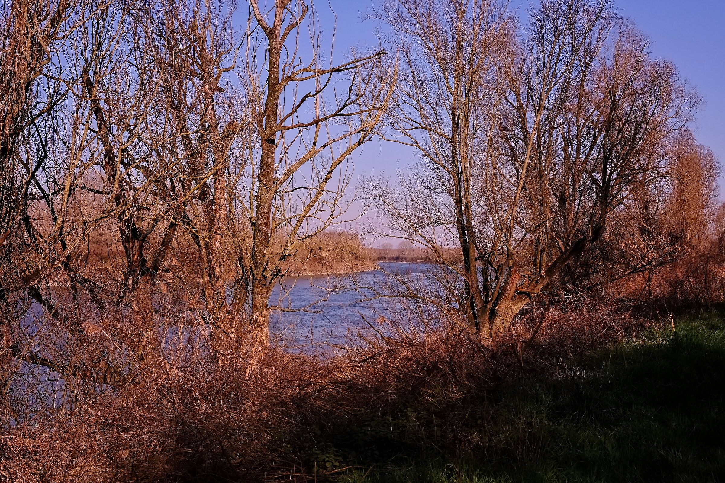Walking along the great river!