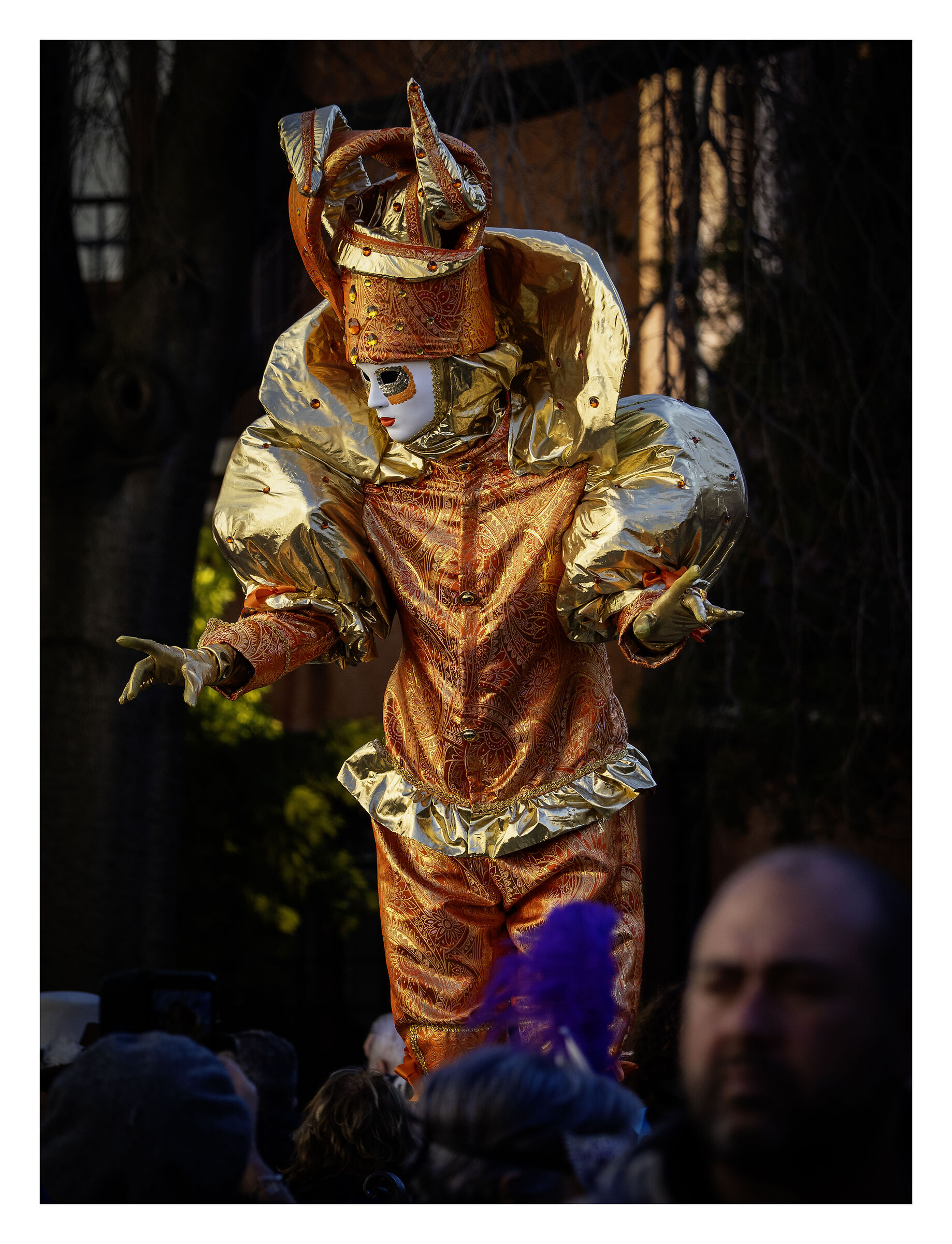 Venice Carnival 2025