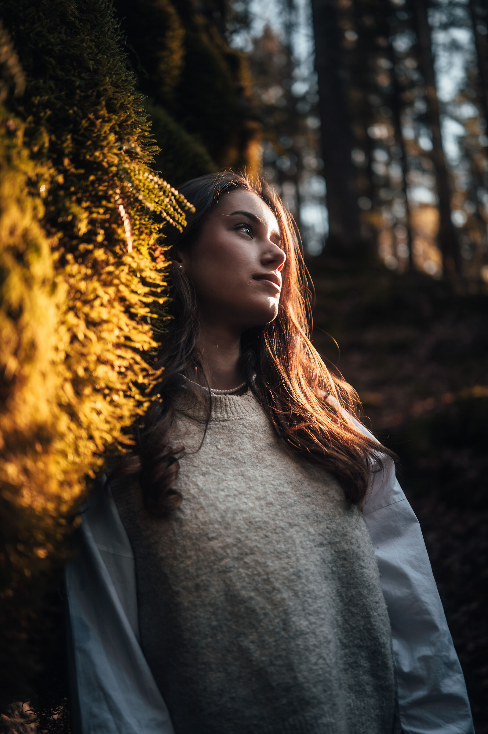 Marialisa - lights in the ruins