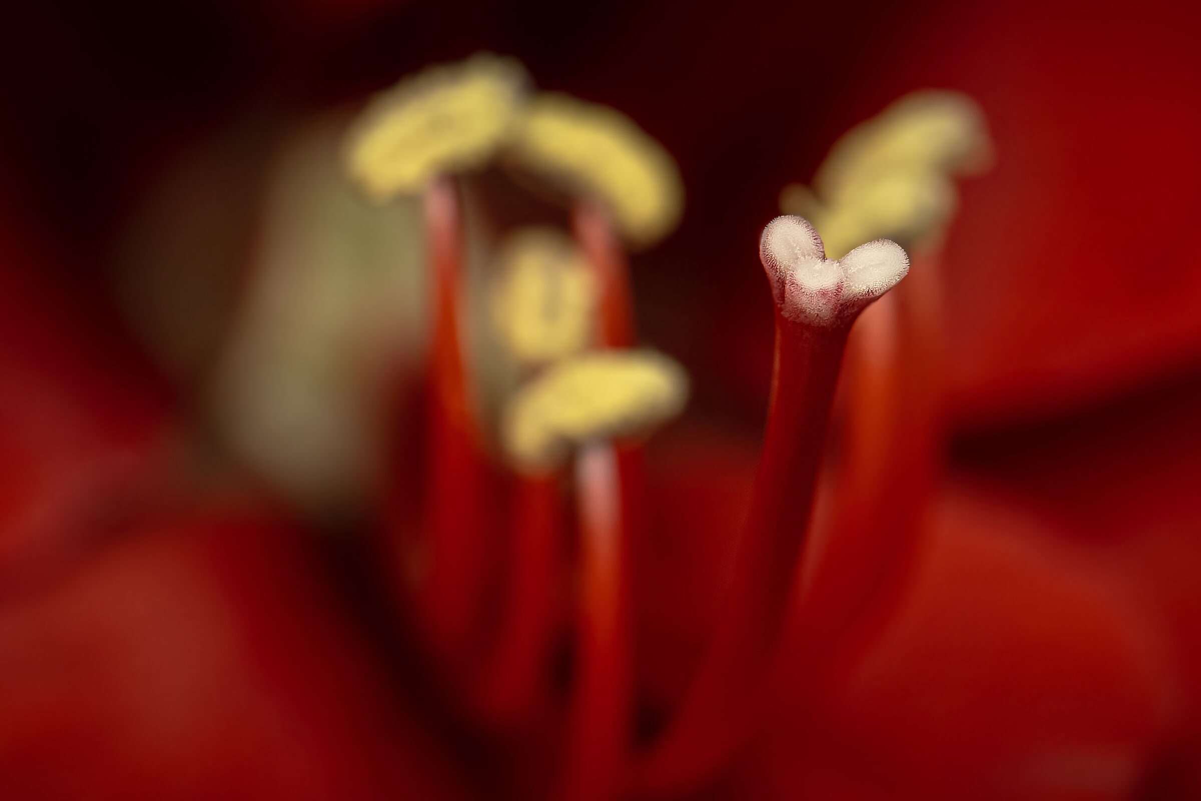 Untitled Photo