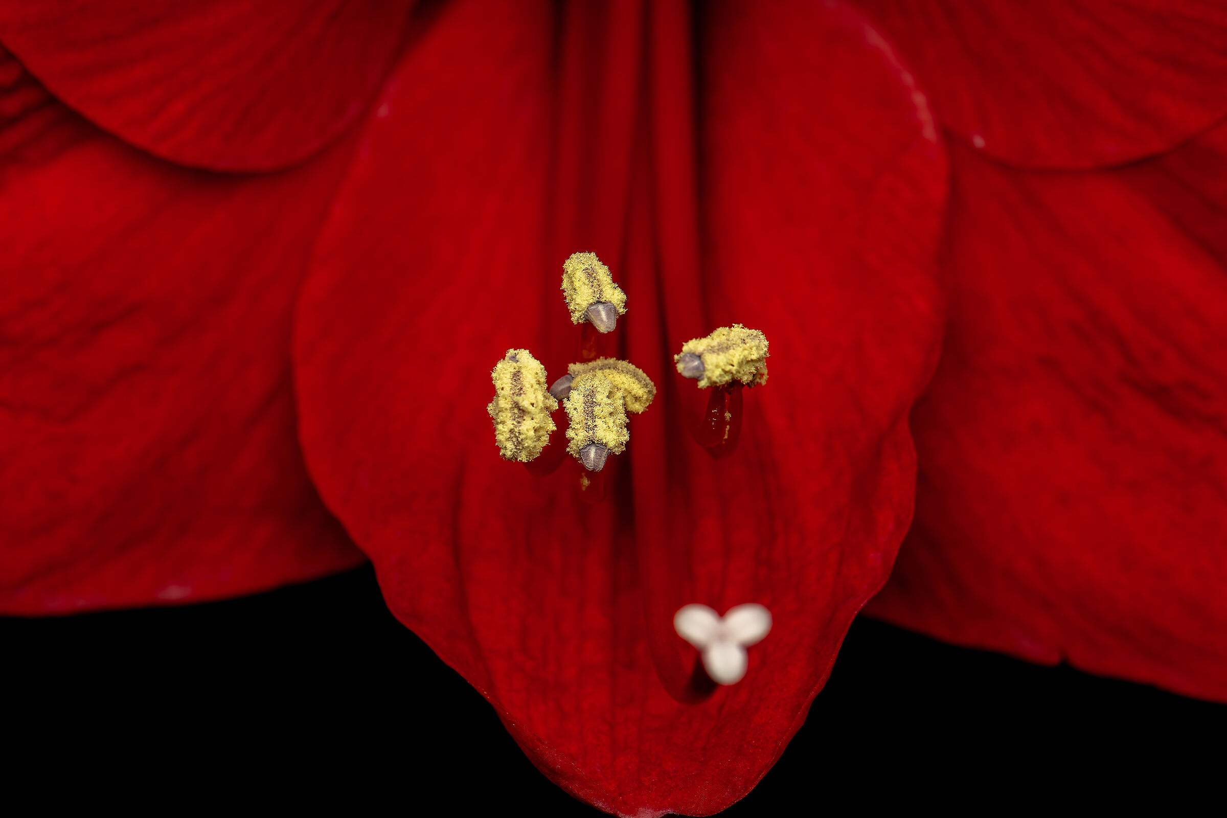Untitled Photo