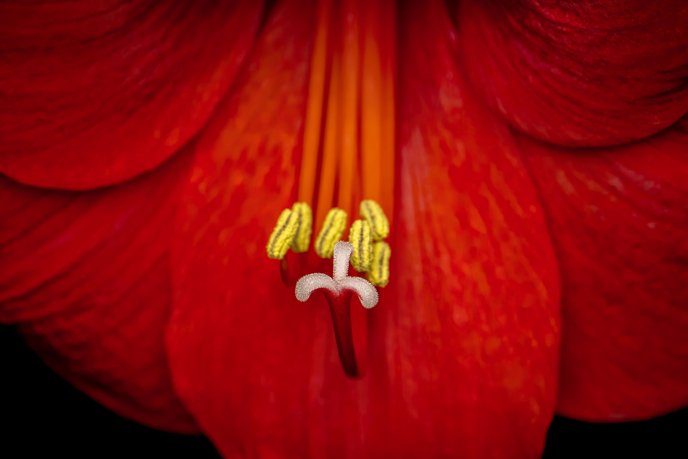 Untitled Photo