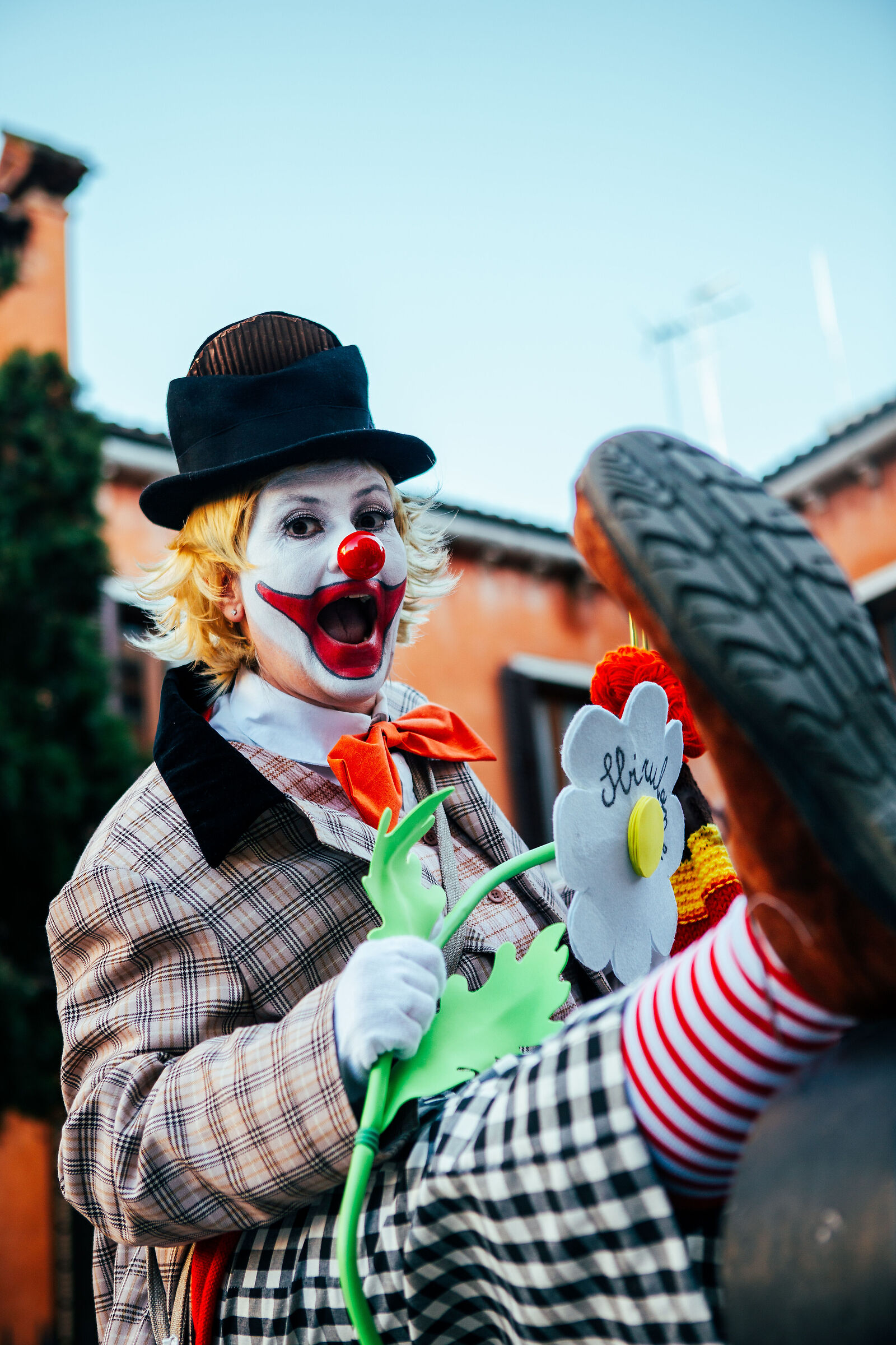 Sbirulino a Venezia 3