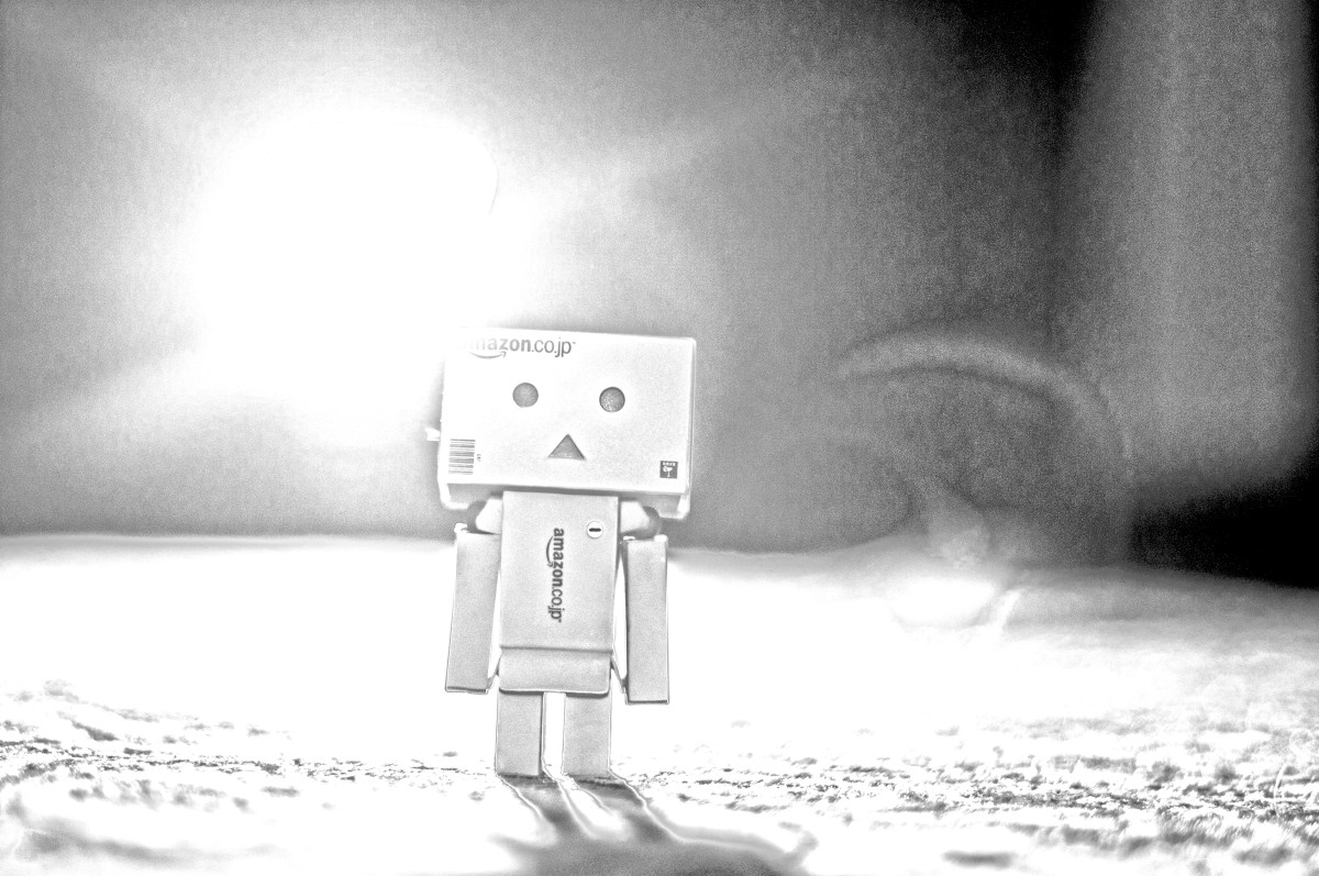 danbo5