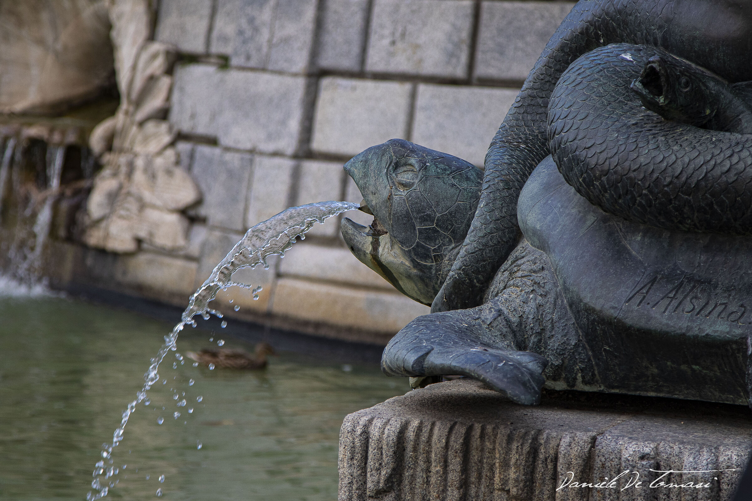 Fountain