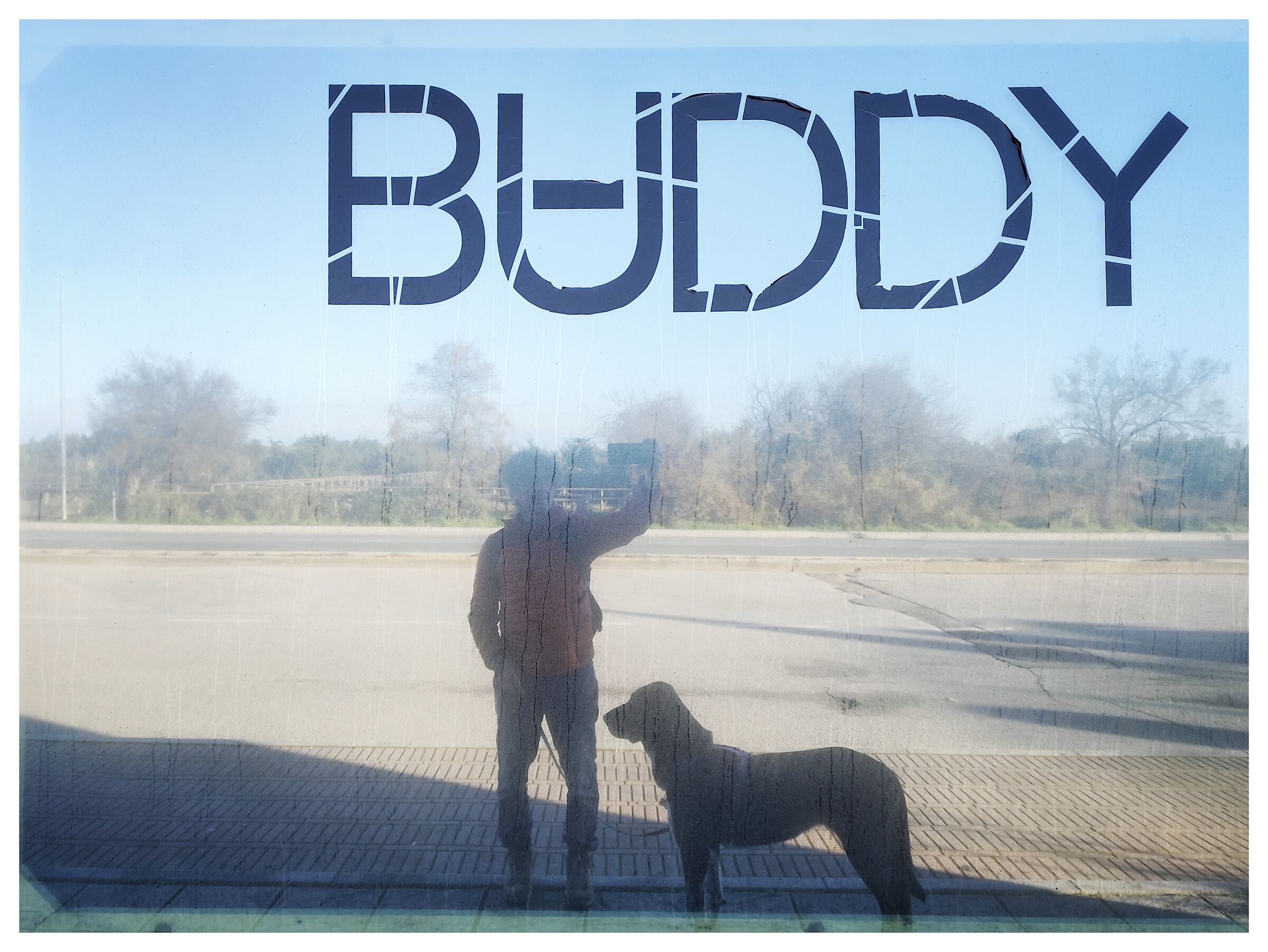 Buddy