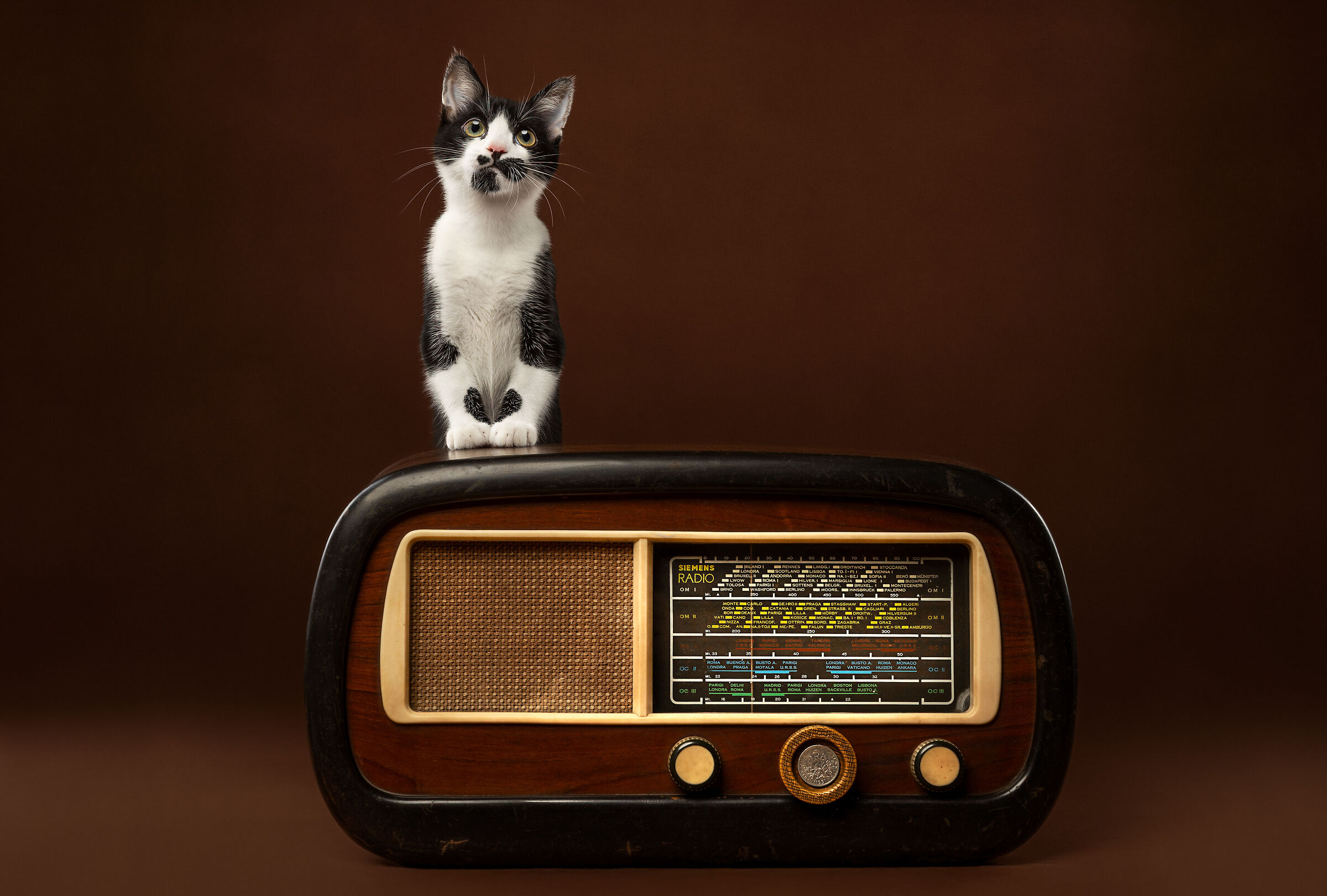 Cosa danno alla radio?