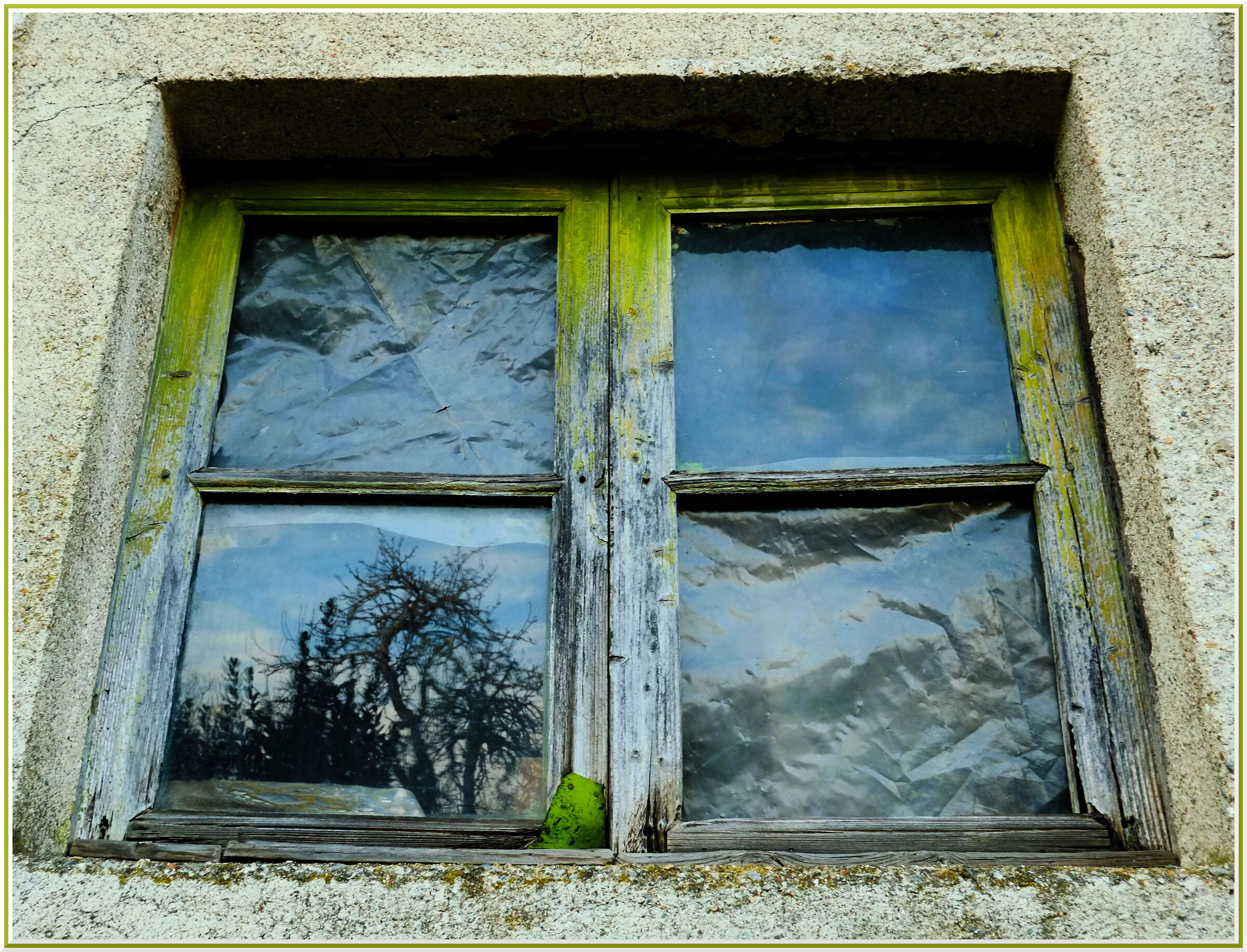 la finestra sul giardino