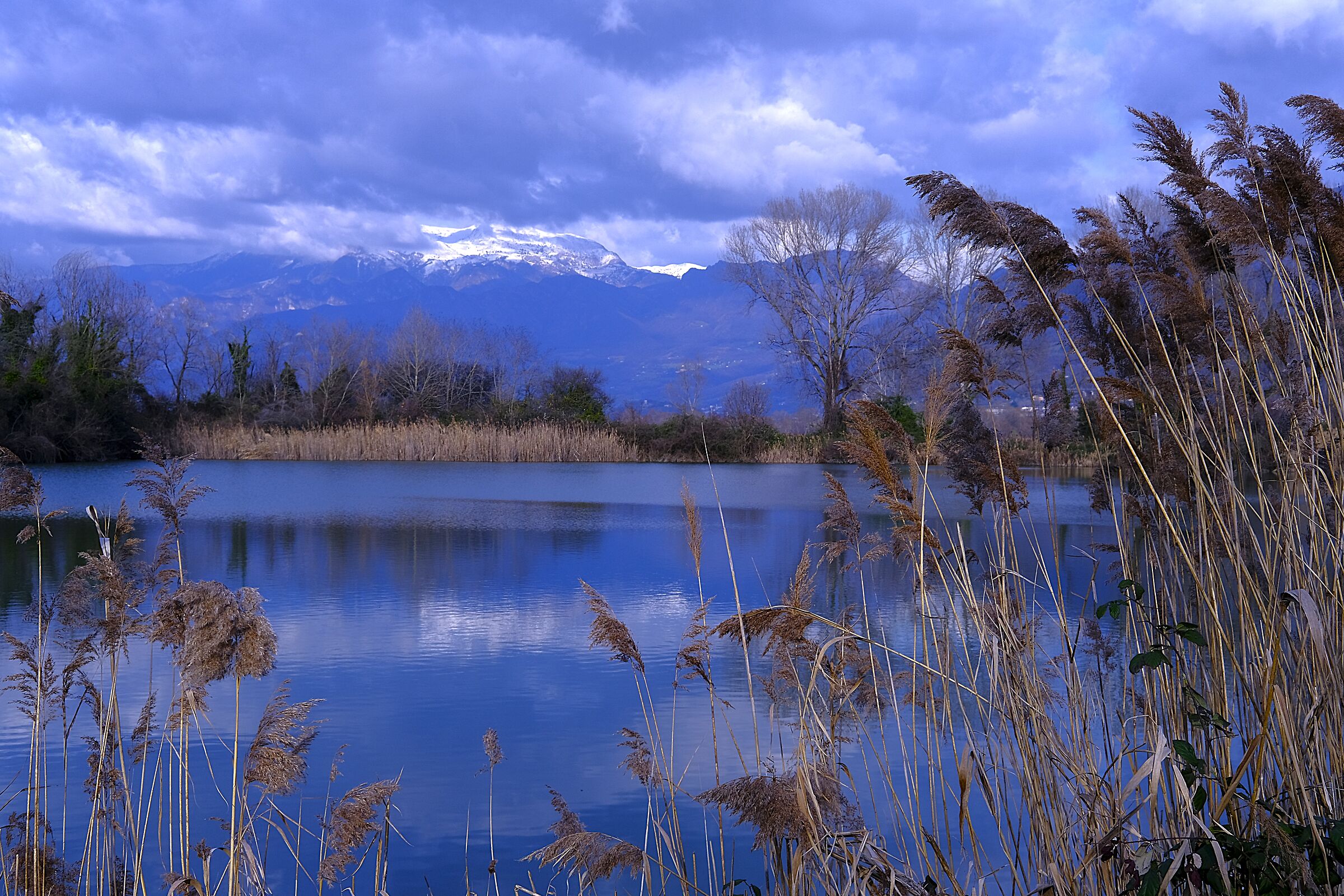 le torbiere lago d'iseo