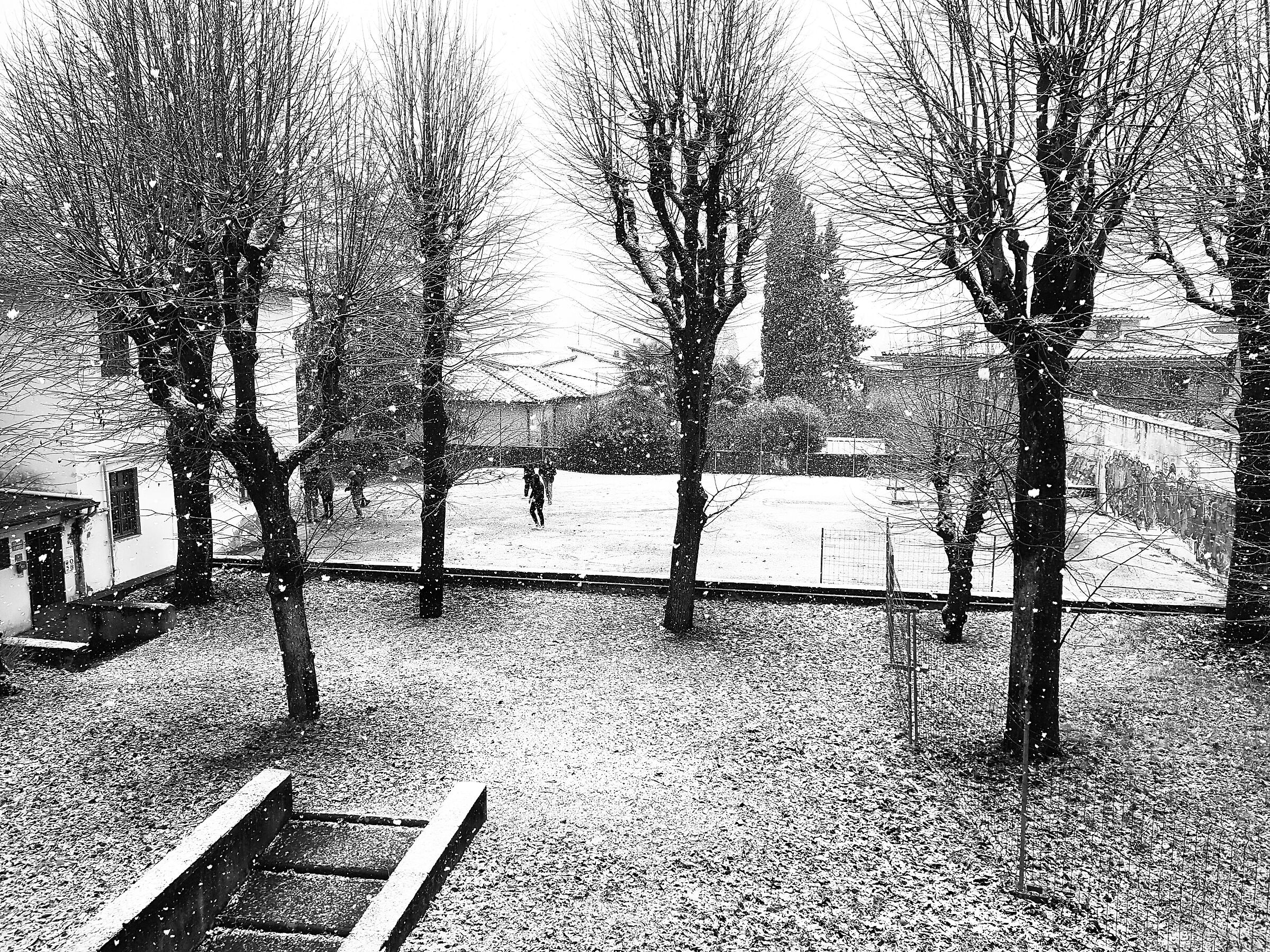 Quando nevicava in città