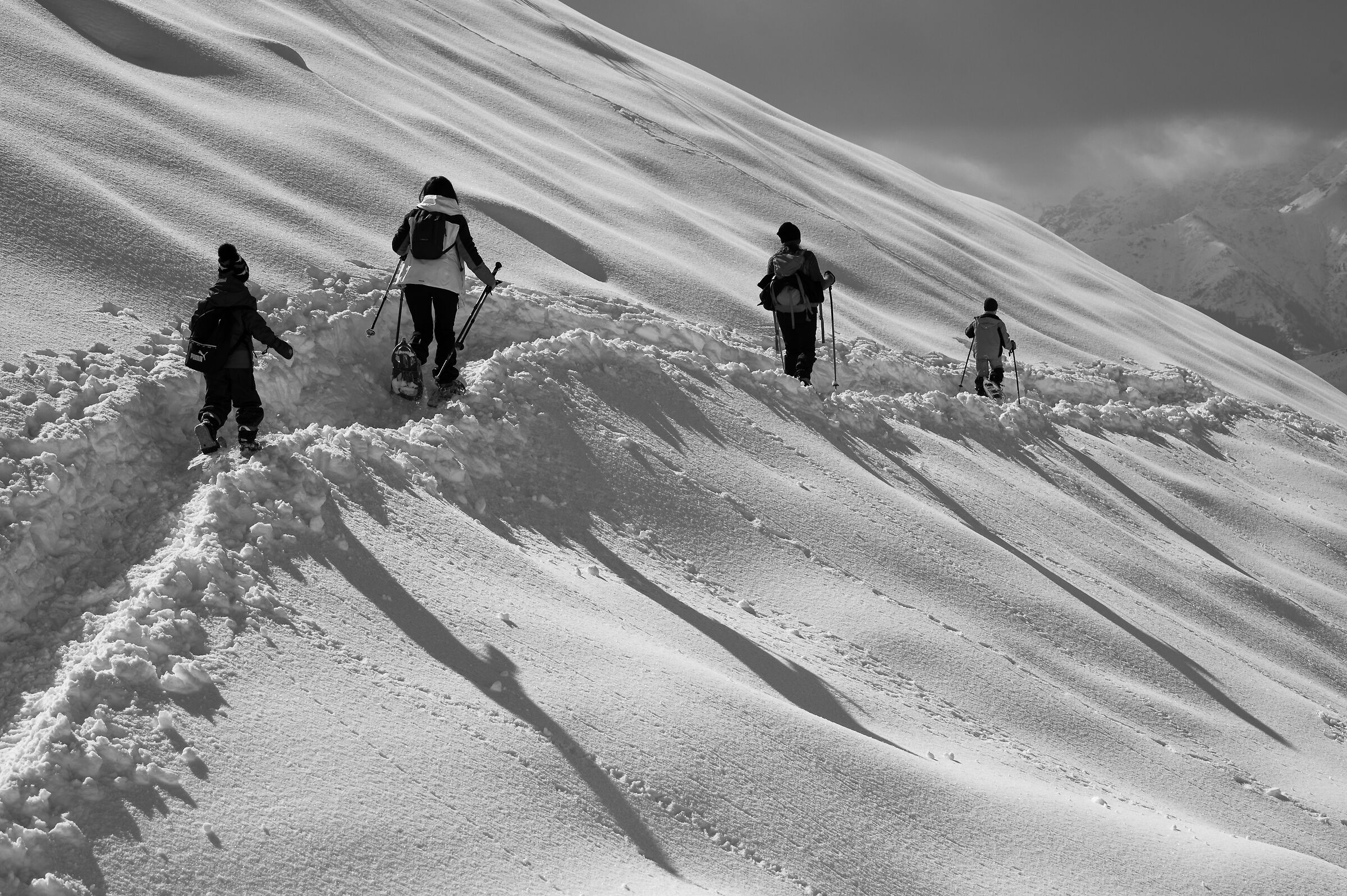 Oasi Zegna in bianco e nero