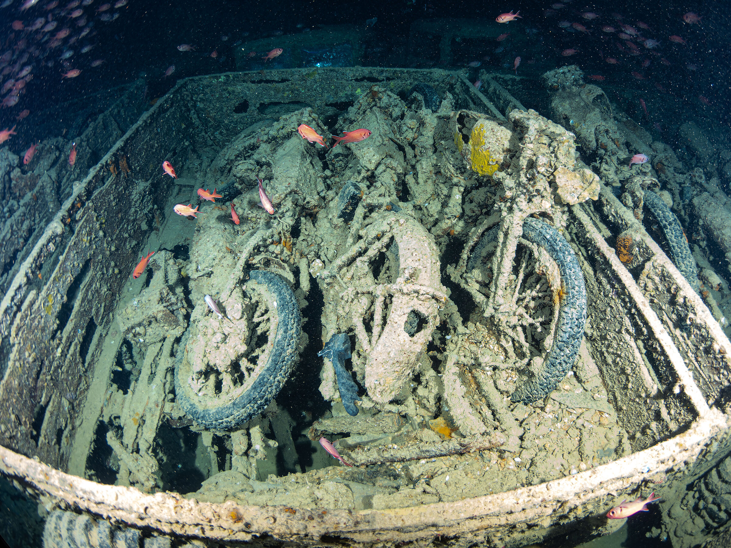 Sei come la mia moto...