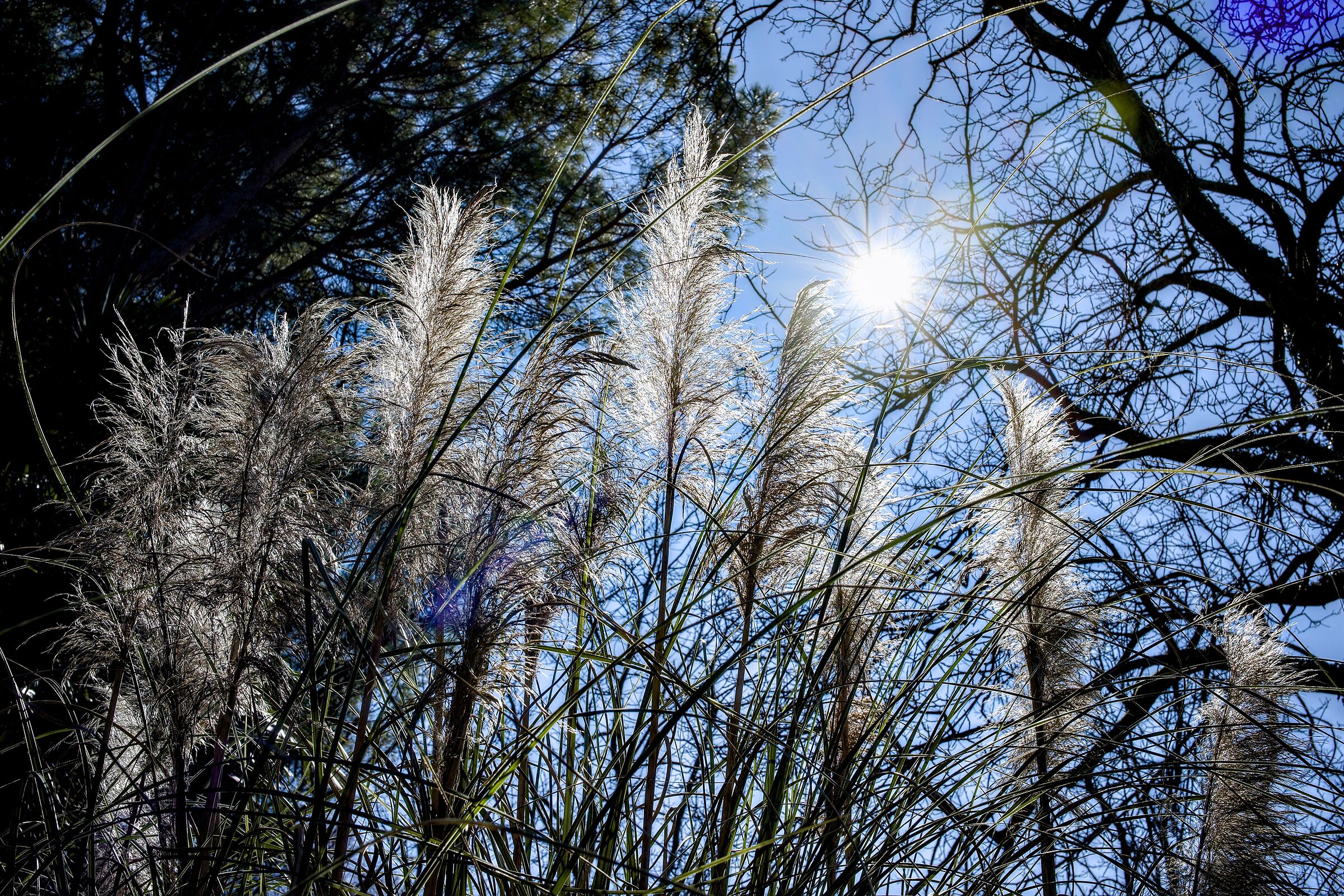In the Winter Sun 2
