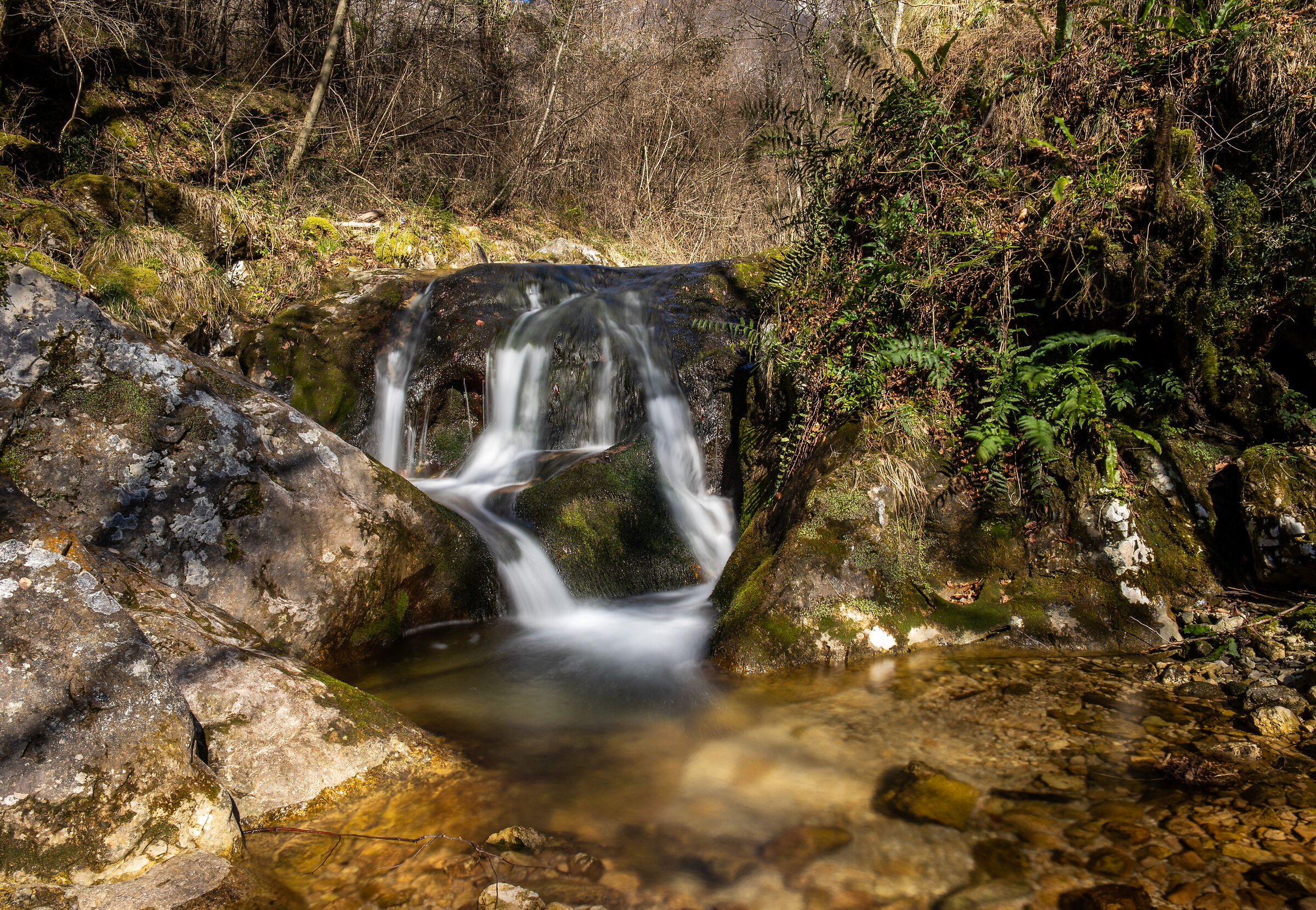... solita cascatella setosa ...