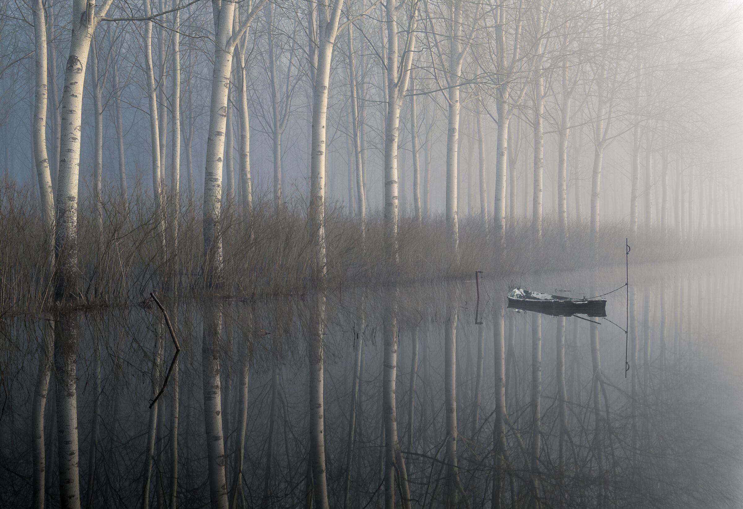 Flat Calm