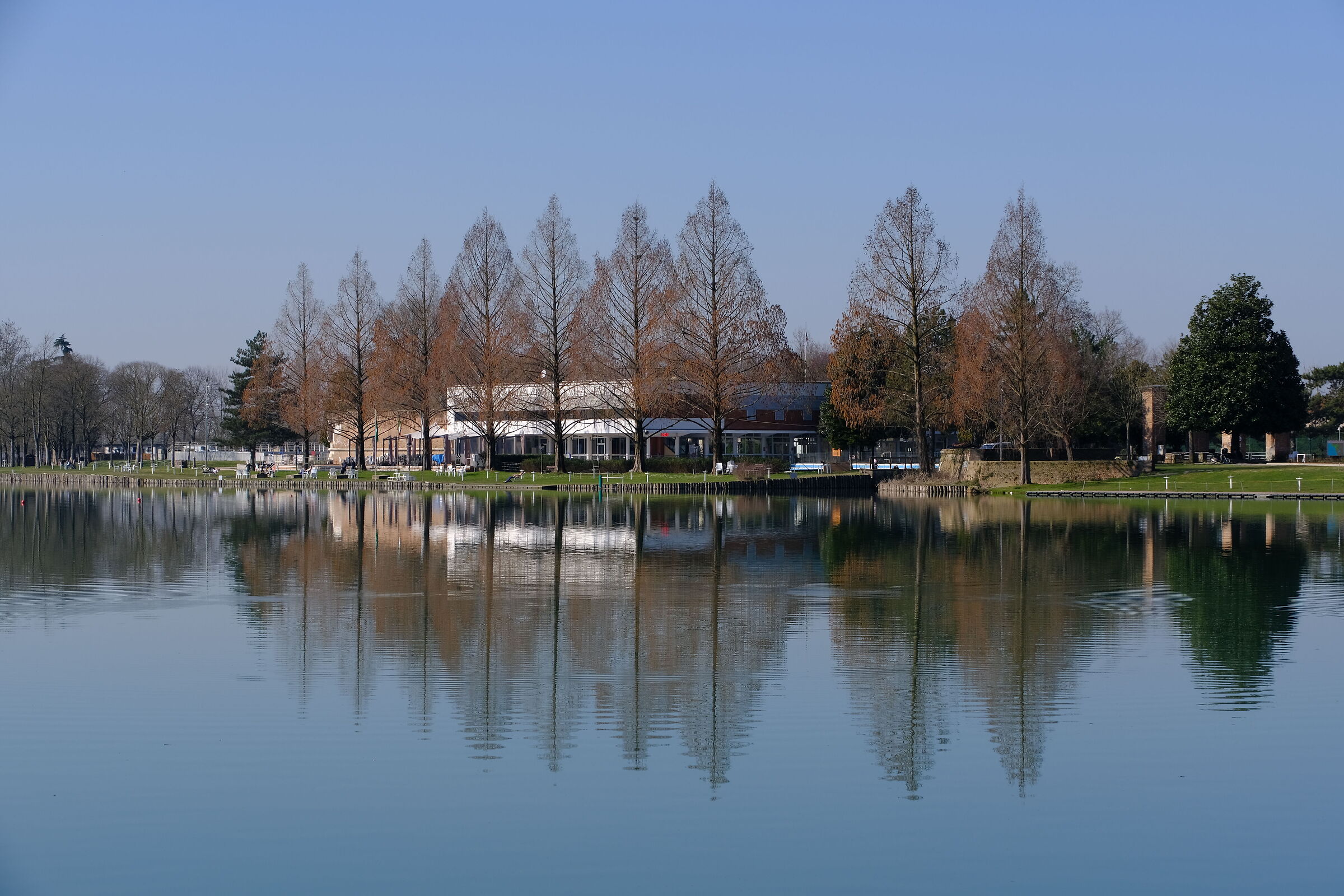 Mantua.