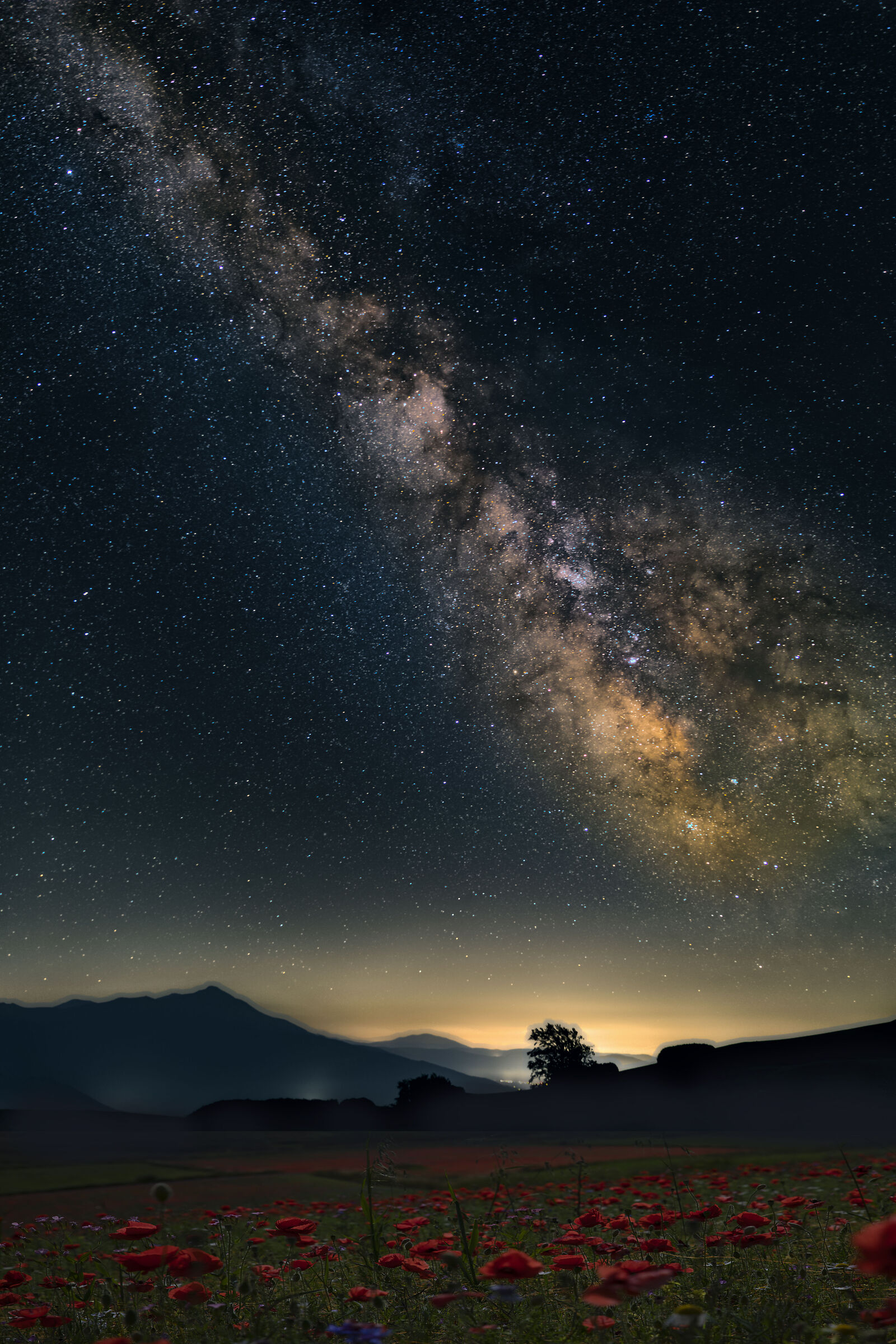 Fioritura e via Lattea a Castelluccio di Norcia