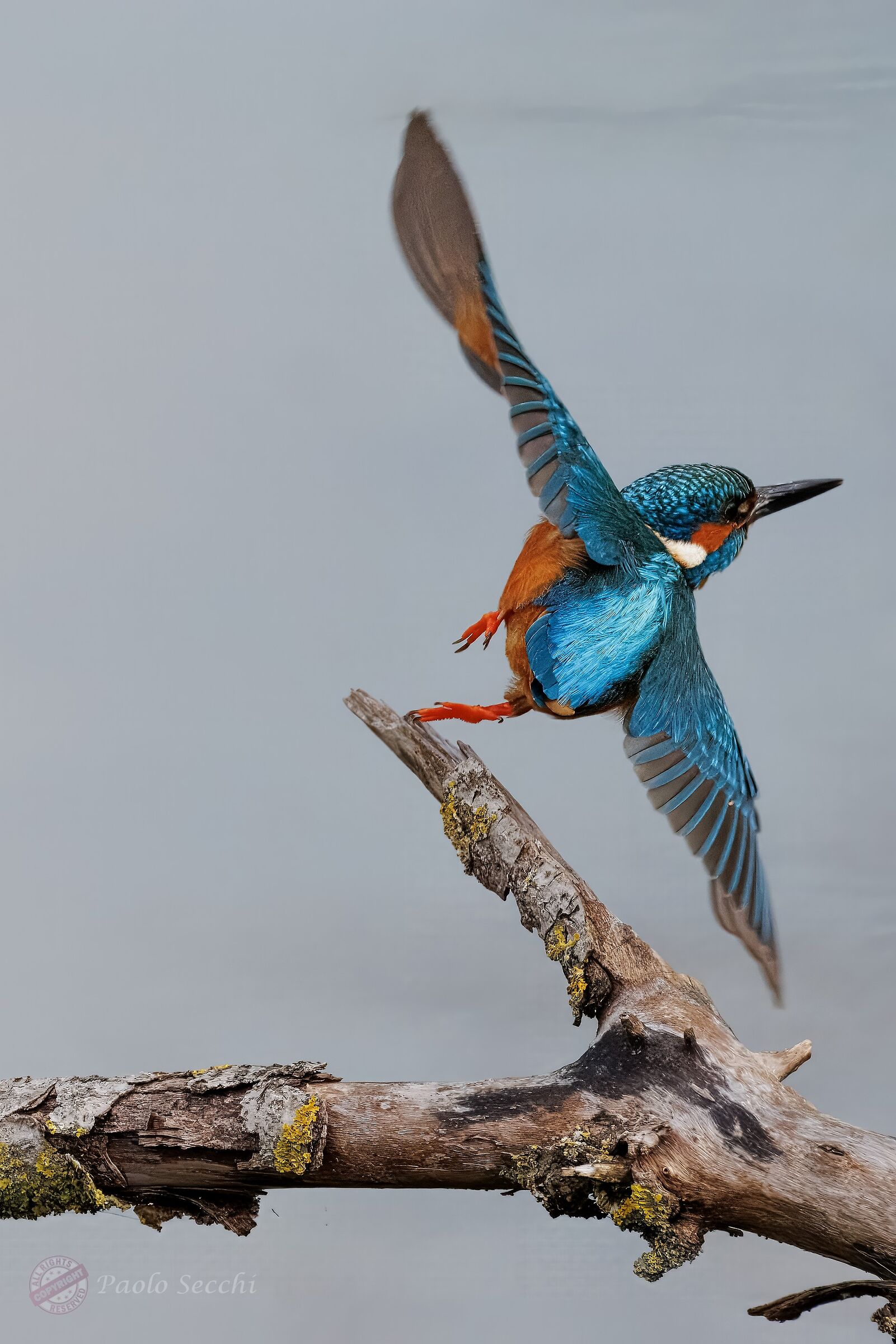 No, I'm going over there!