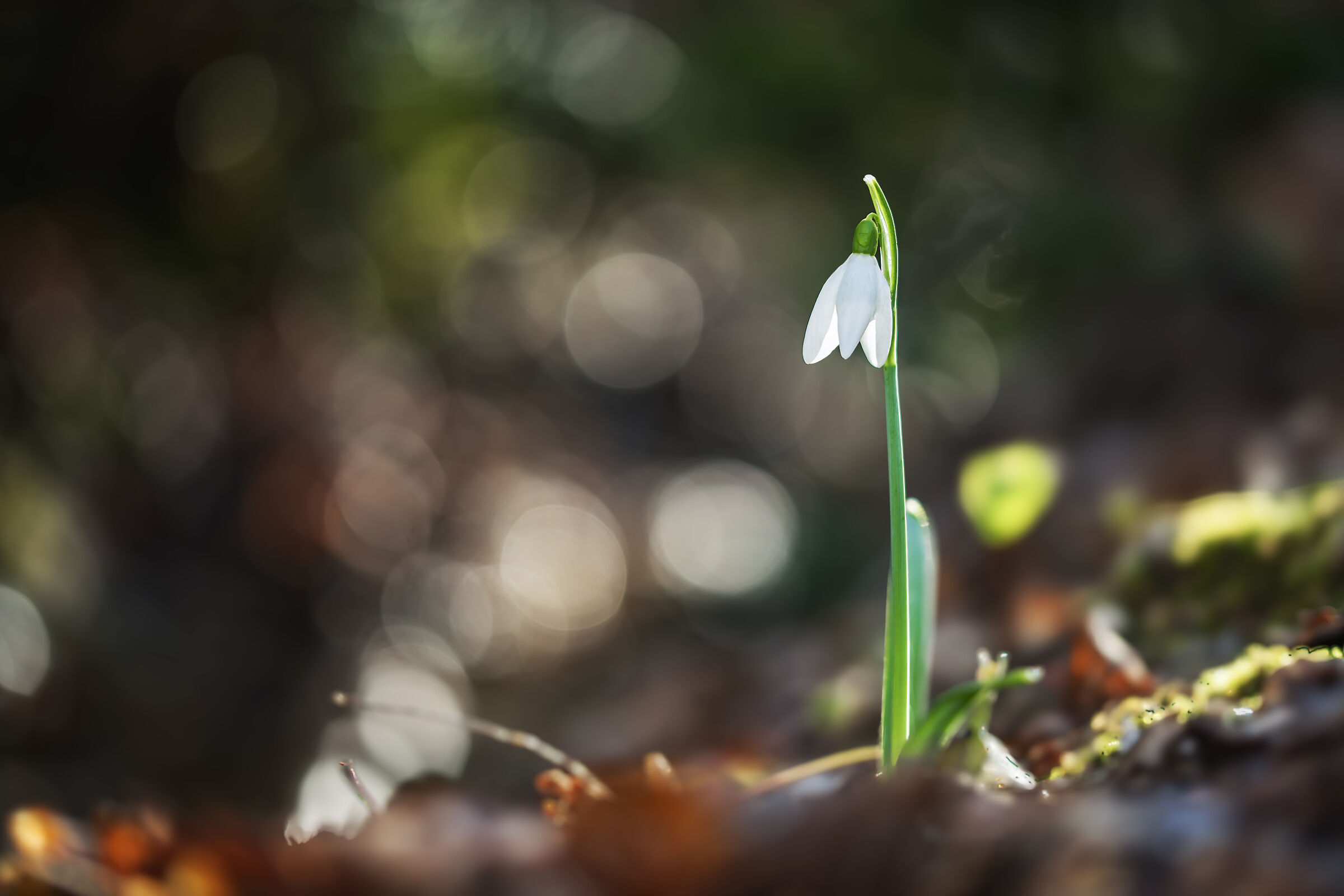 Untitled Photo
