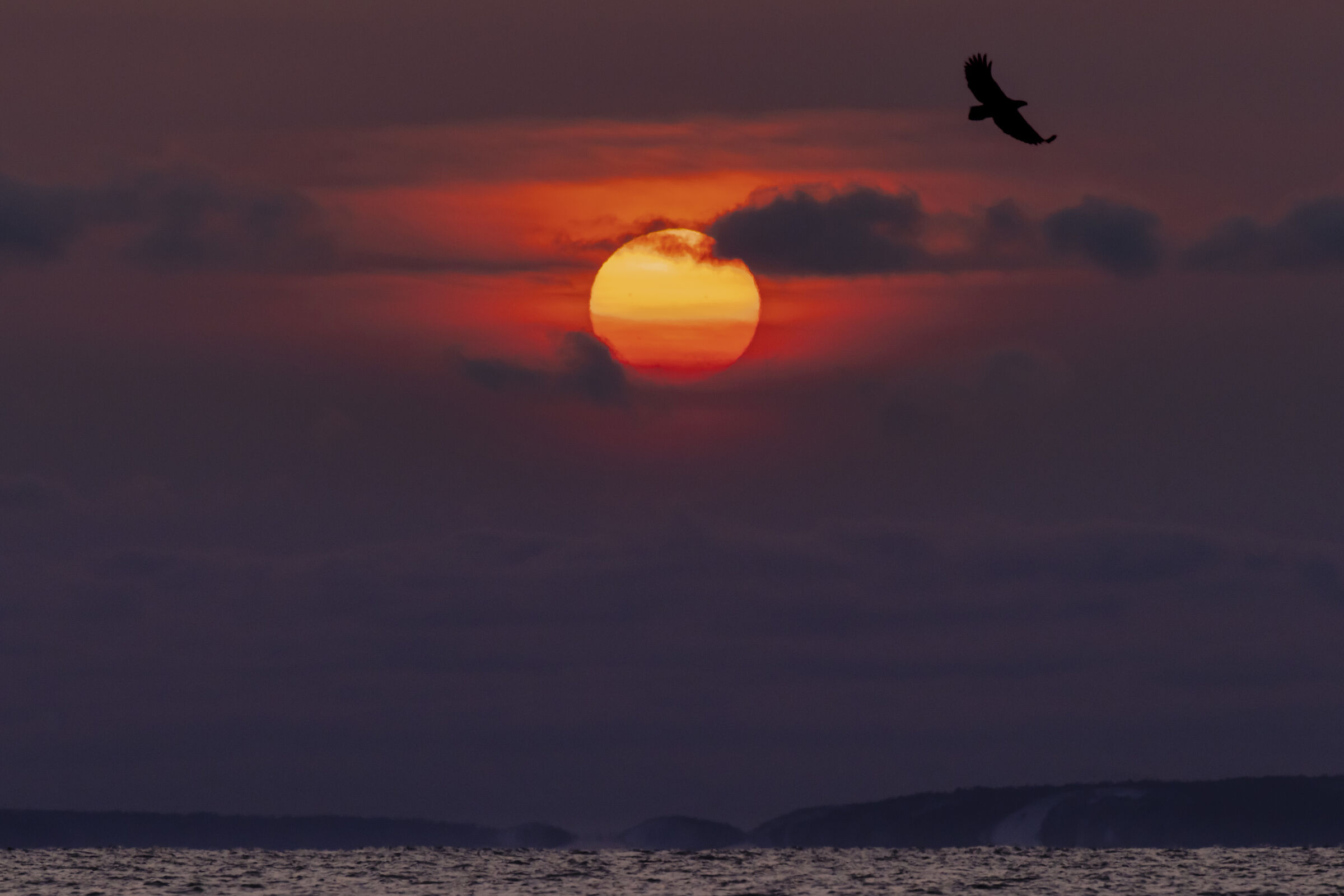 2025 Winter, Hokkaido Nature