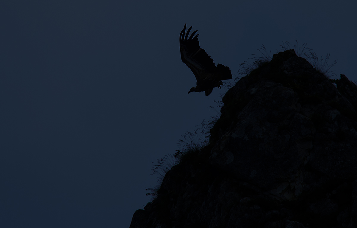 So dear to me ... coming or evening ...