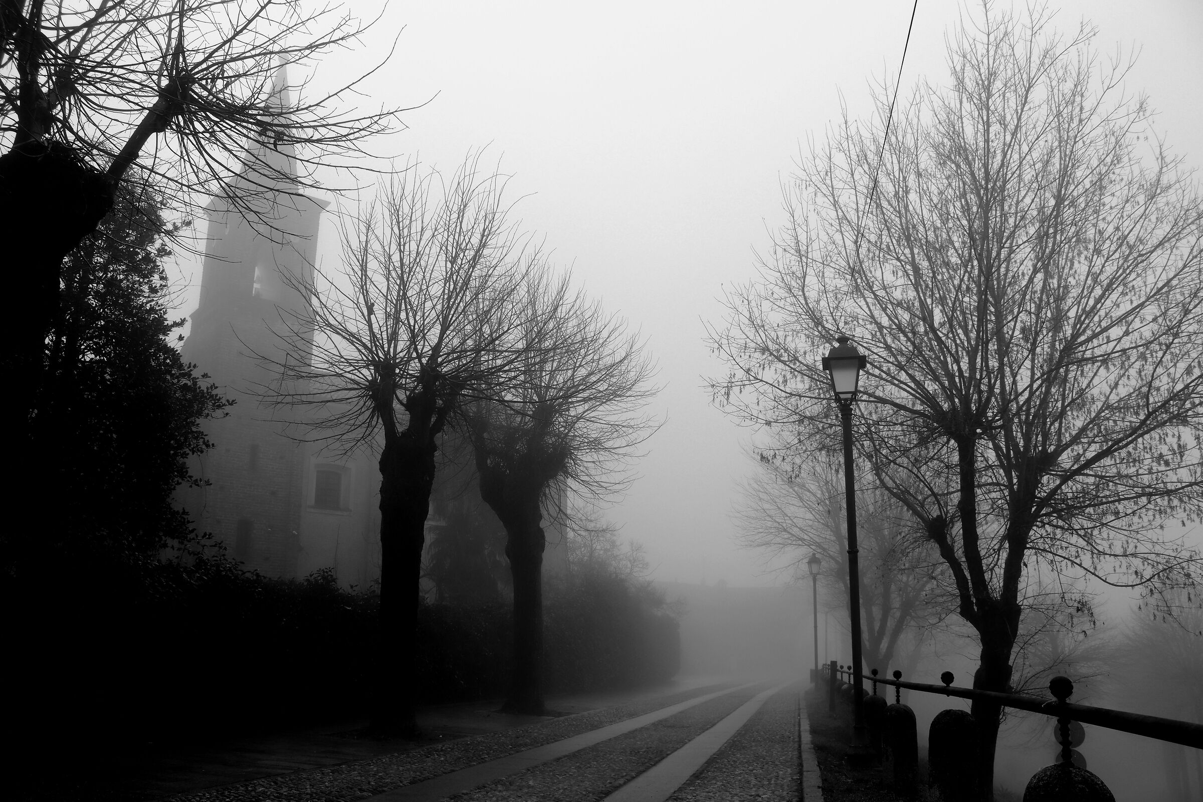 Untitled Photo