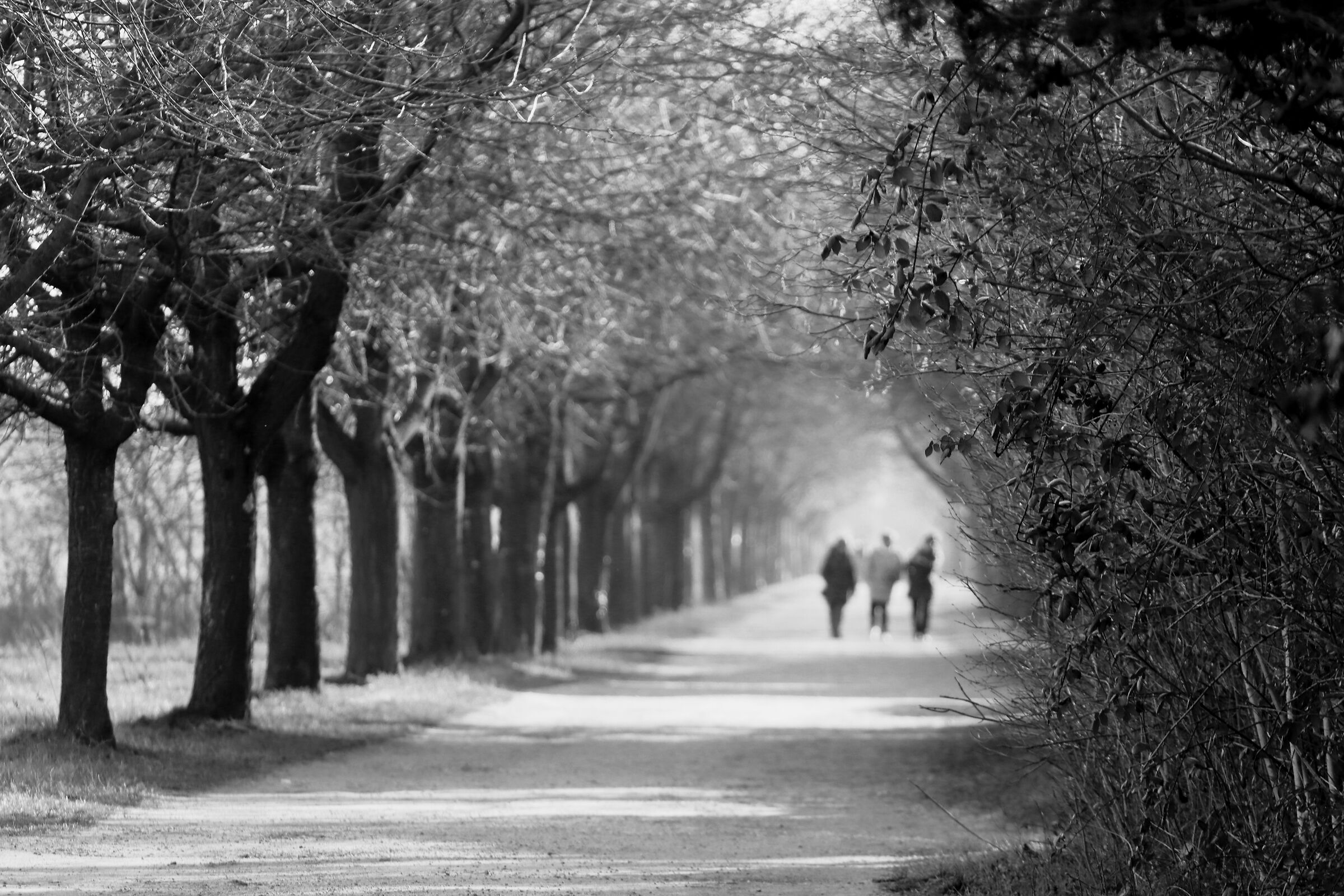Untitled Photo