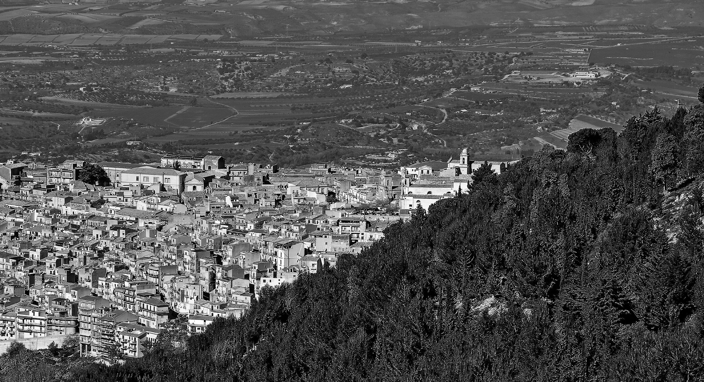 La pineta di Chiaramonte