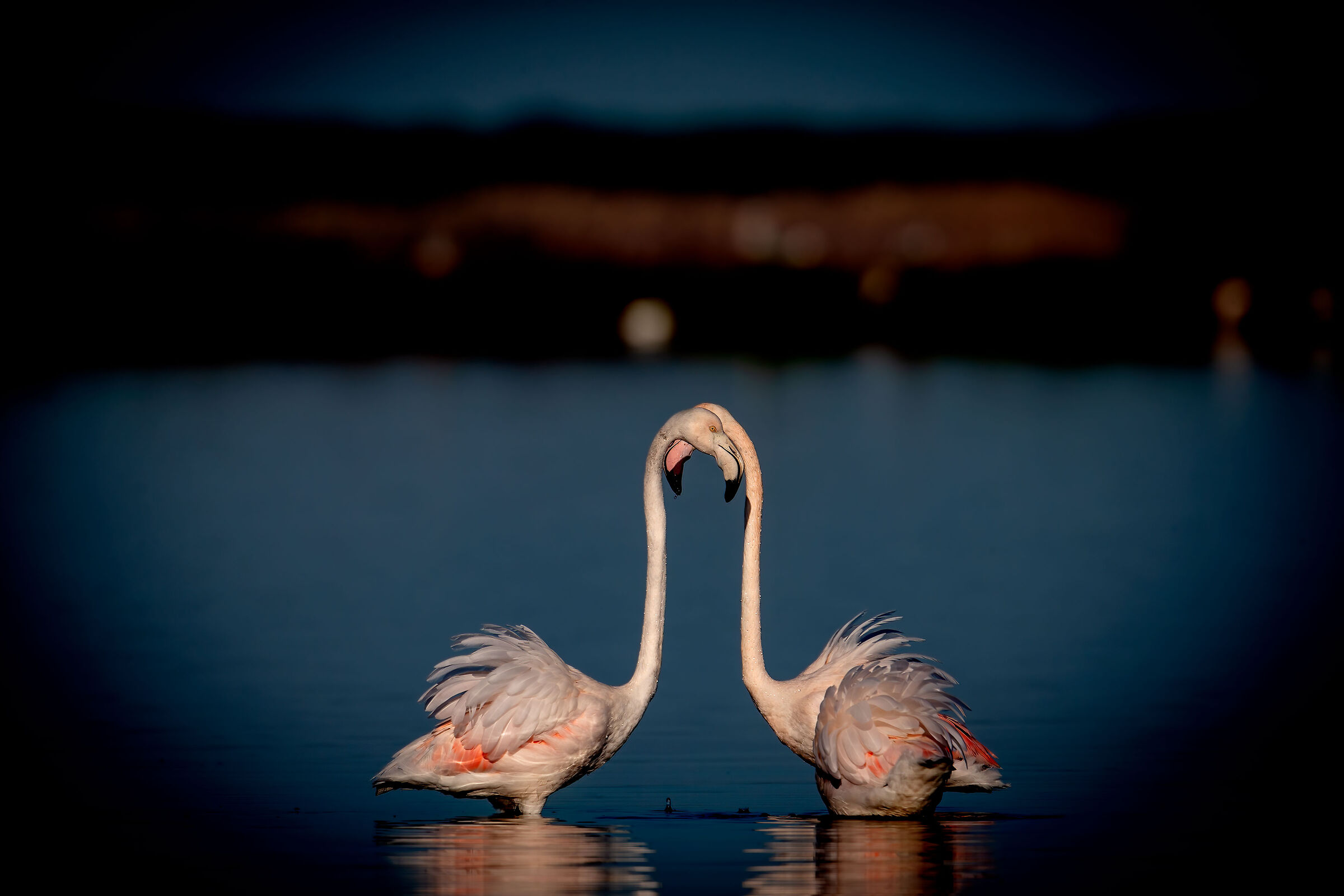 sincronismo perfetto