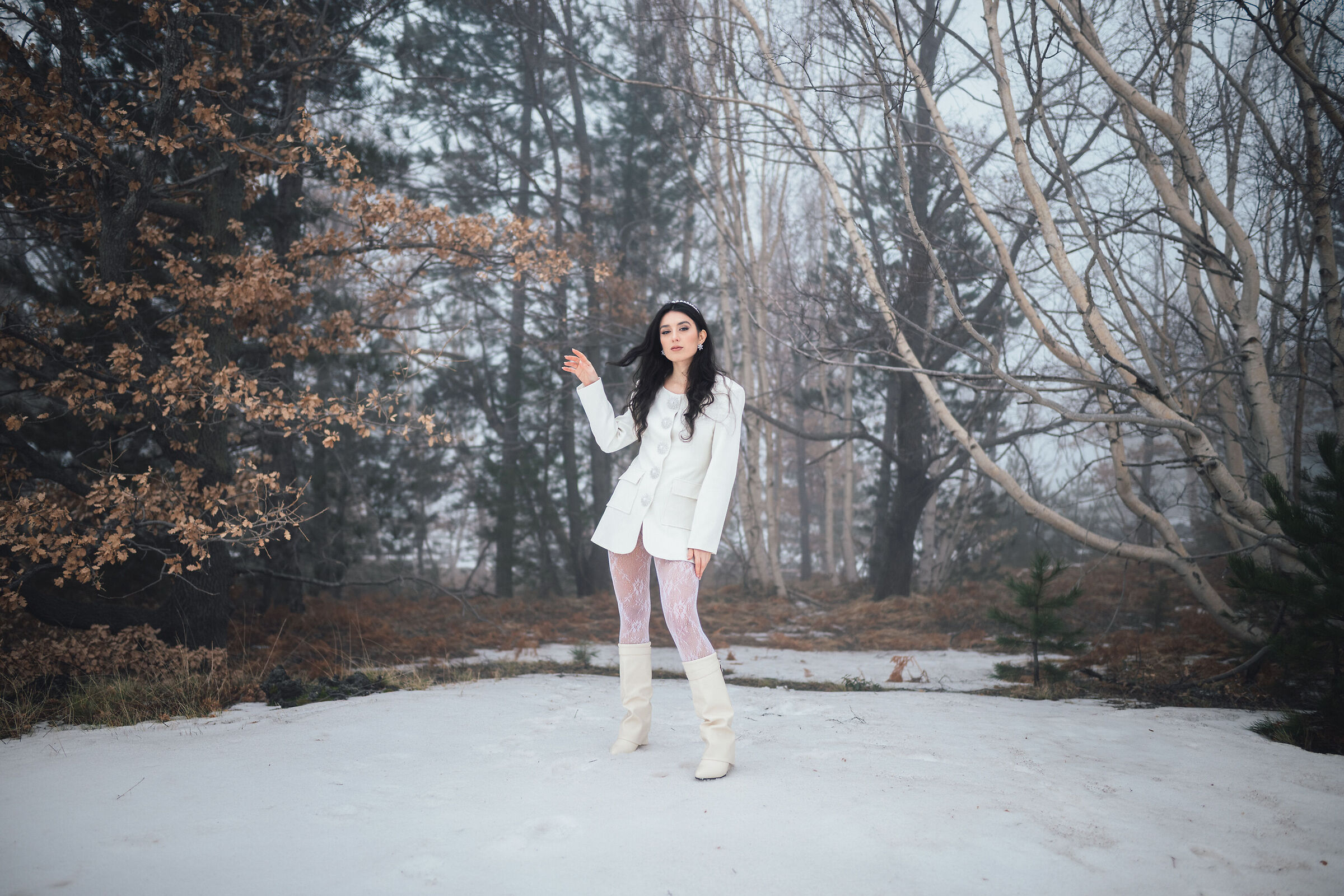 The snow queen