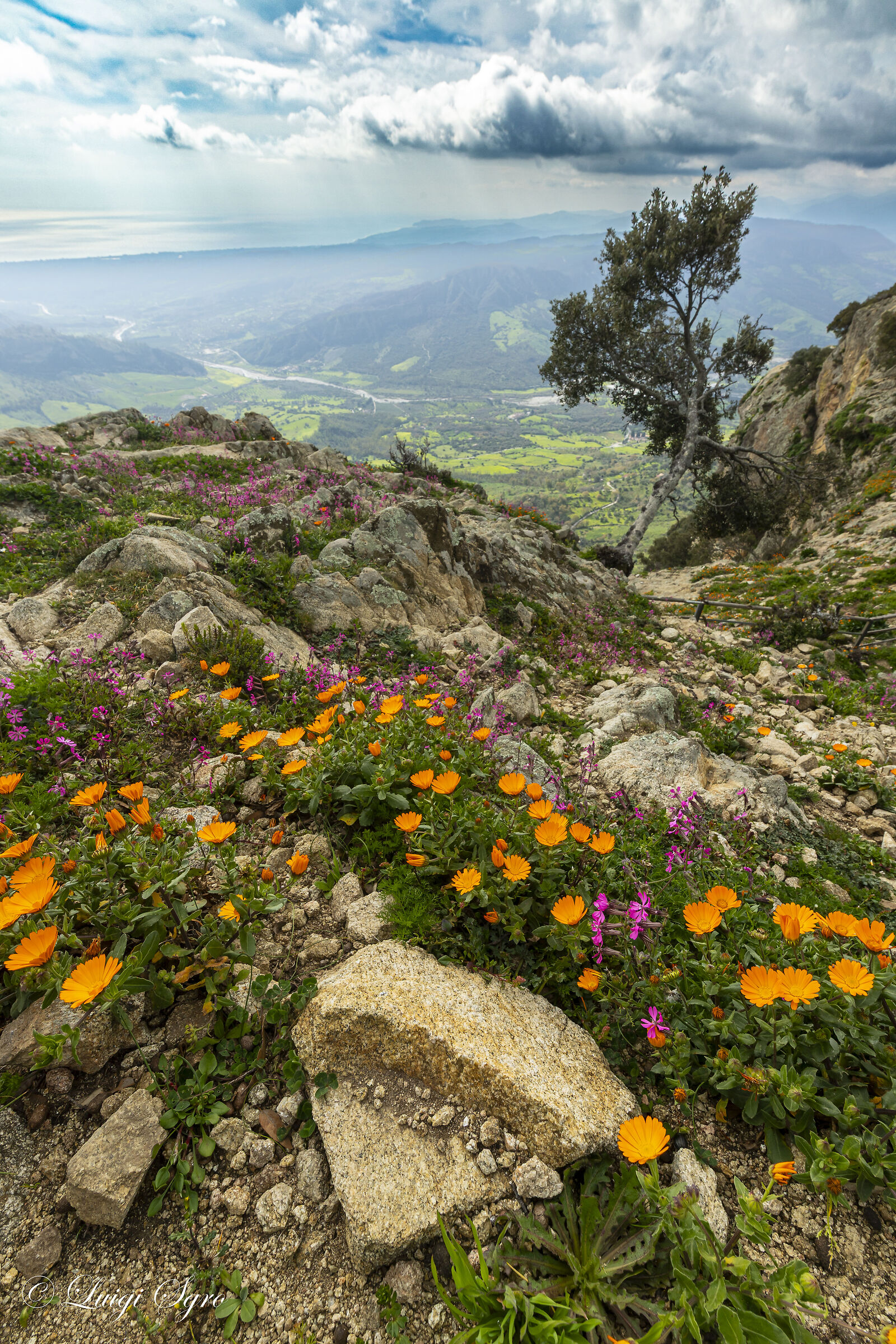 On Monte Tre Pizzi (about 700 meters)