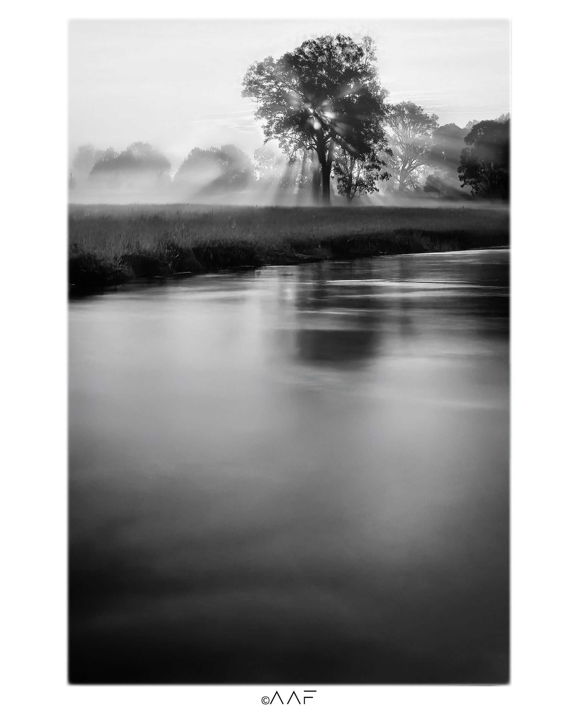 Veneto, Fiume Brenta 2019