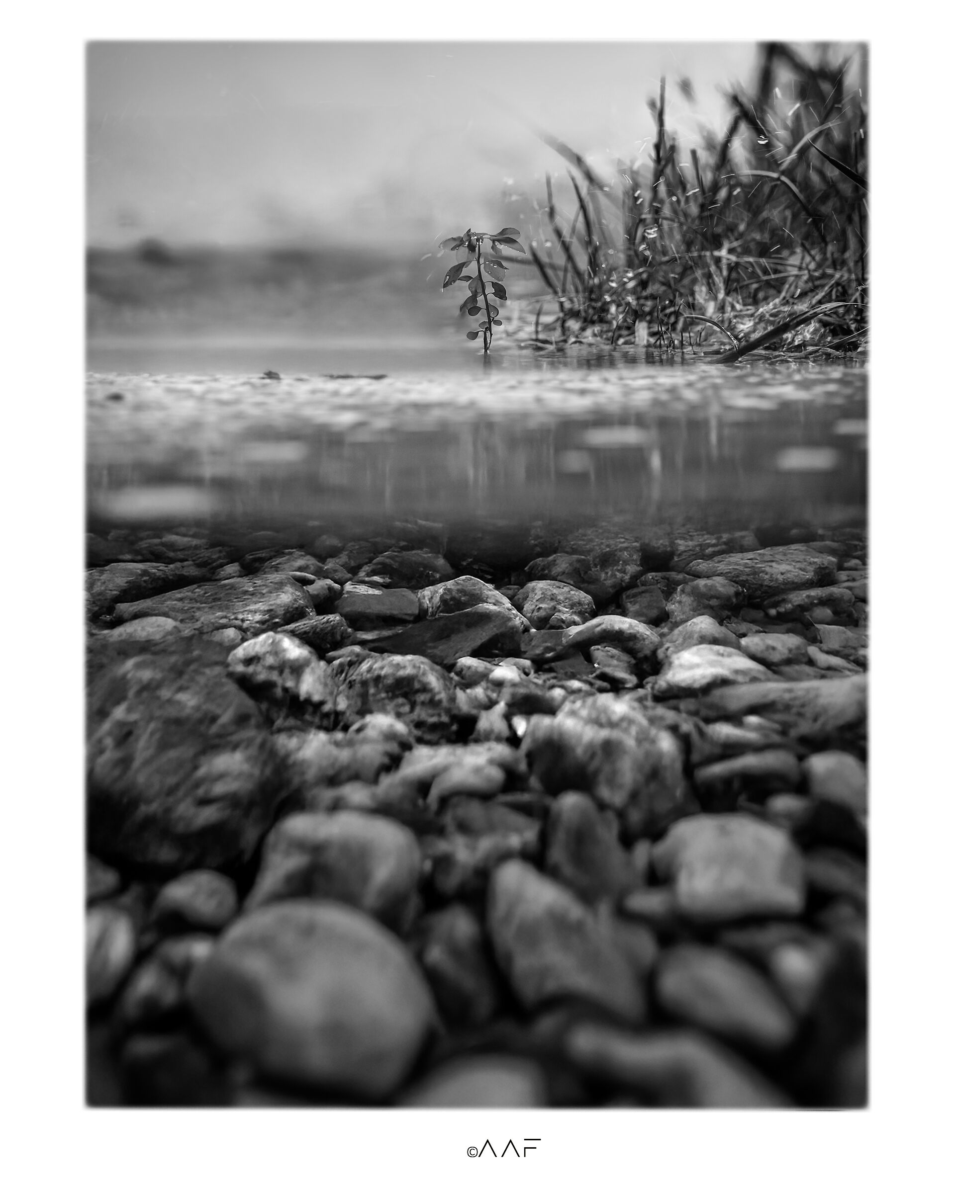 Veneto, Lago di Camazzole 2020